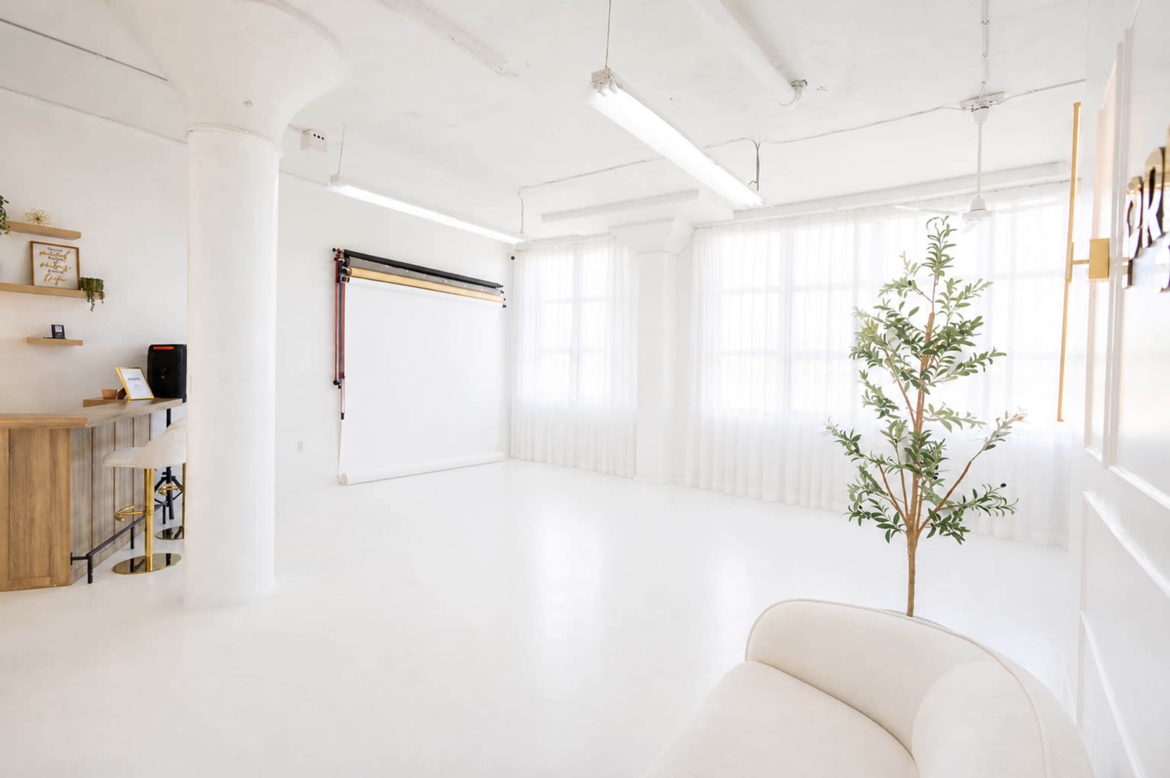 The image shows a bright, minimalistic studio space with white walls and flooring, featuring a small tree and a few pieces of furniture.
