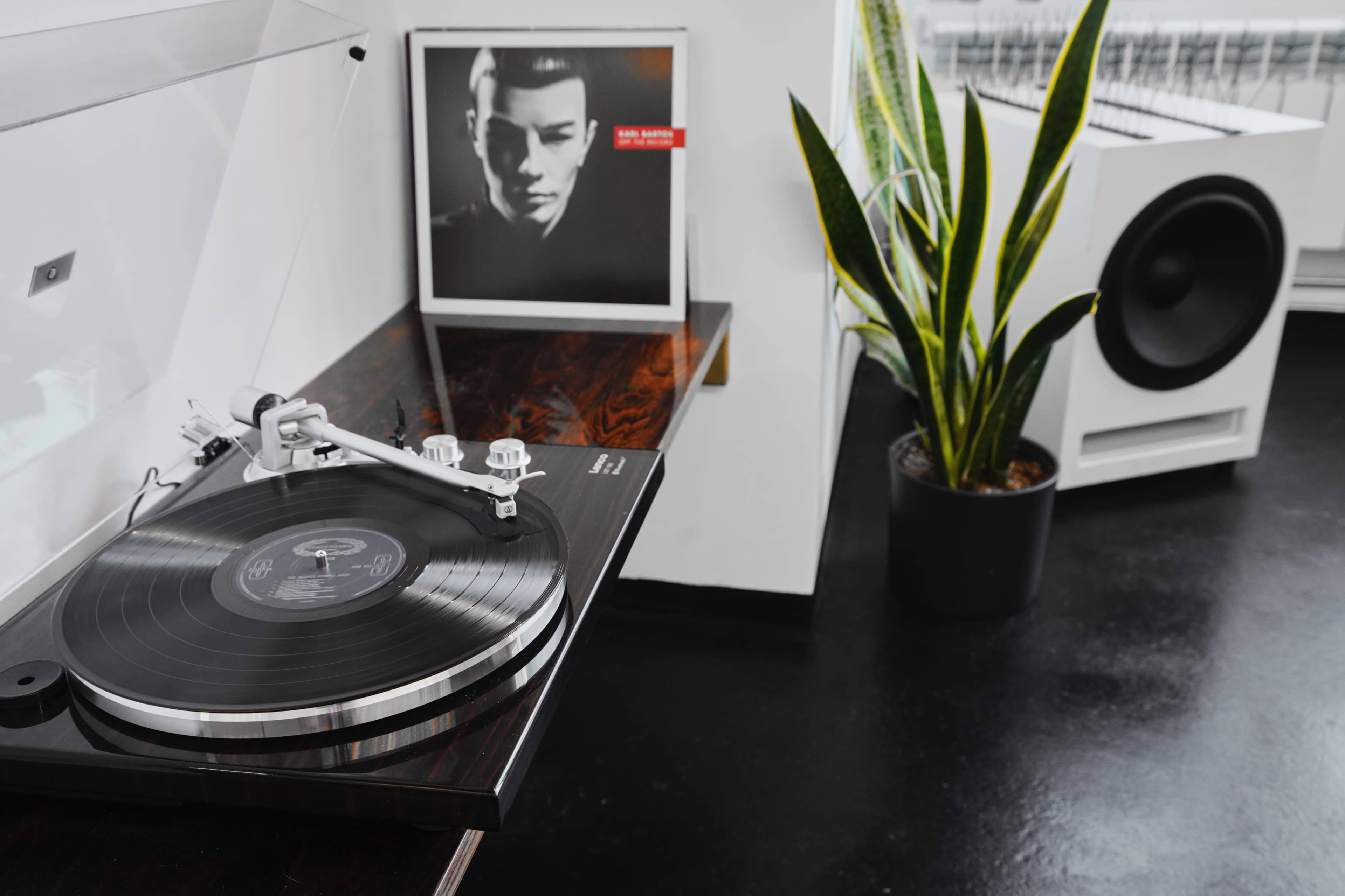 A turntable with a vinyl record is positioned on a wooden shelf beside a potted plant and a framed album cover on the wall.