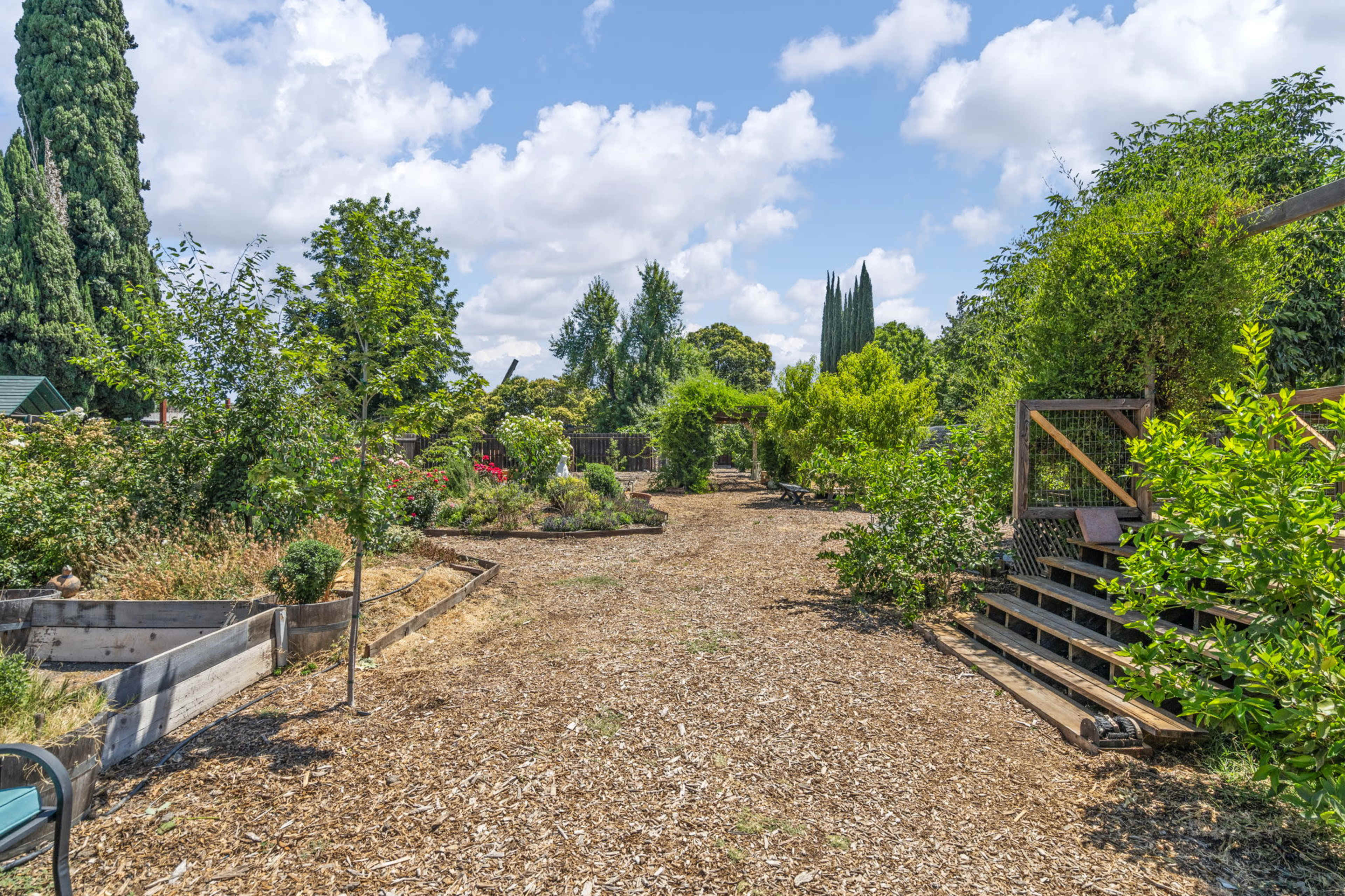 A garden pathway lined with trees and shrubs is surrounded by wooden planter beds and a wooden structure.