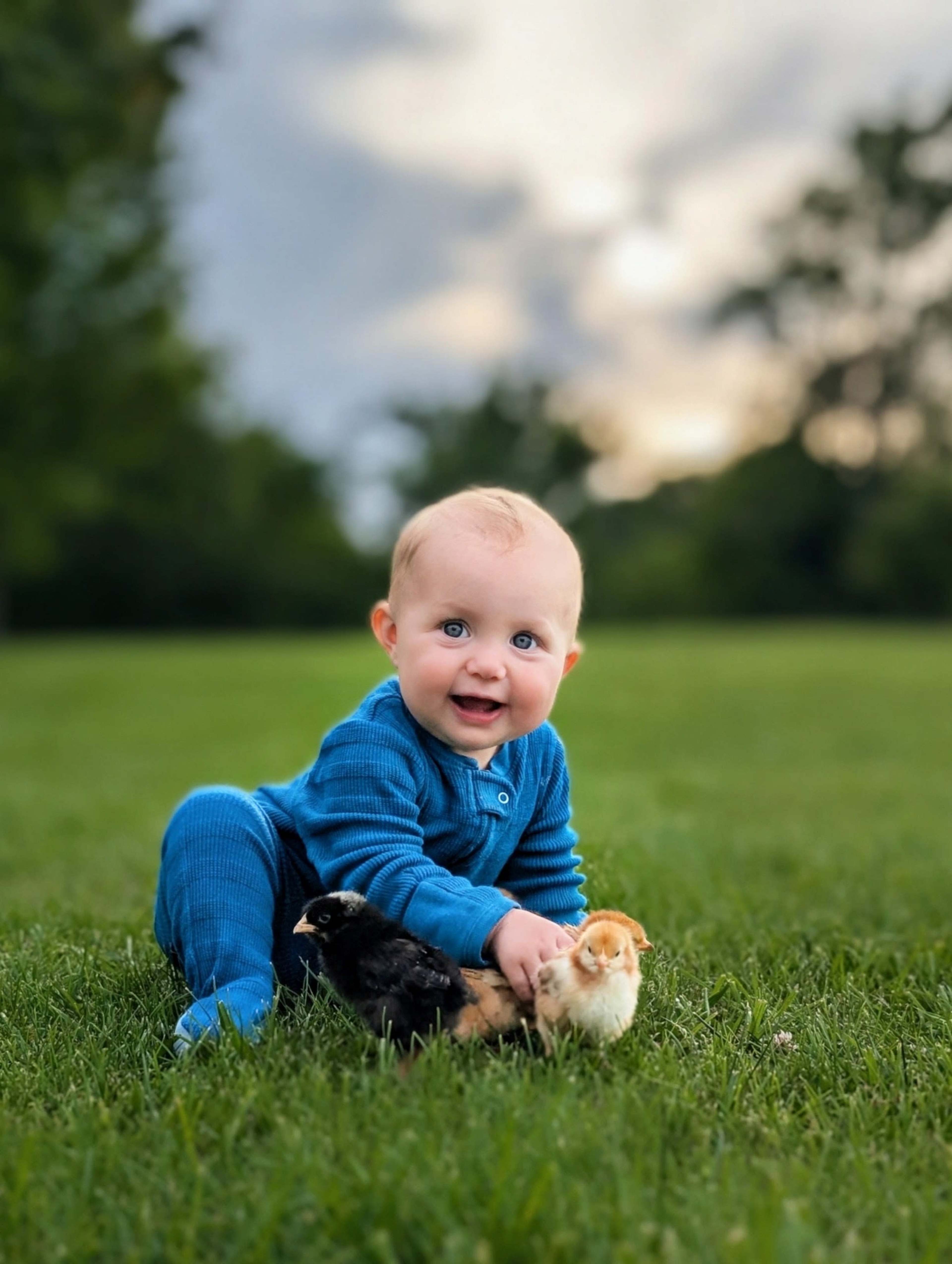 A baby in a blue outfit sits on a grassy field while holding two chicks.