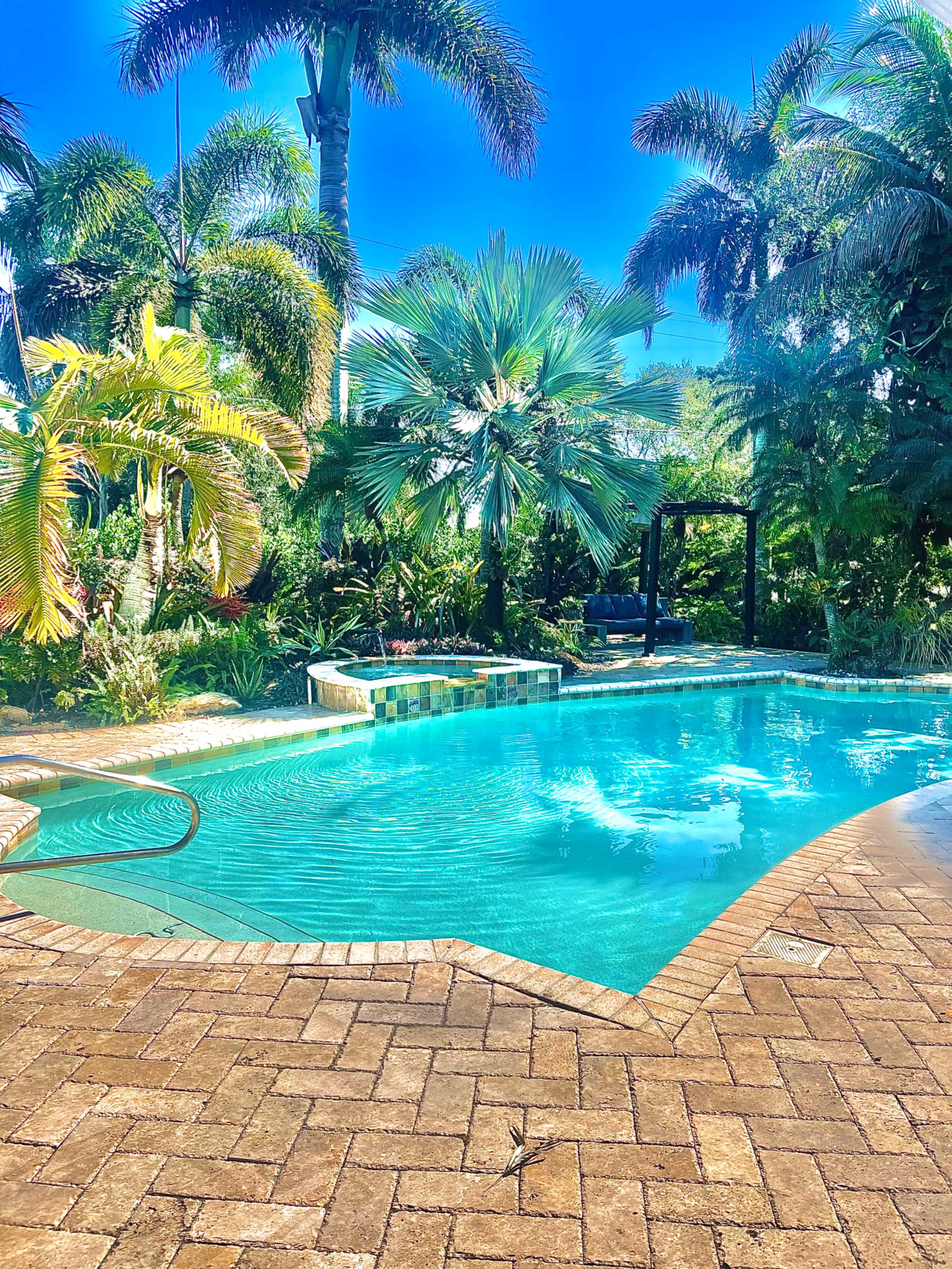 A clear swimming pool is surrounded by lush tropical plants and palm trees.