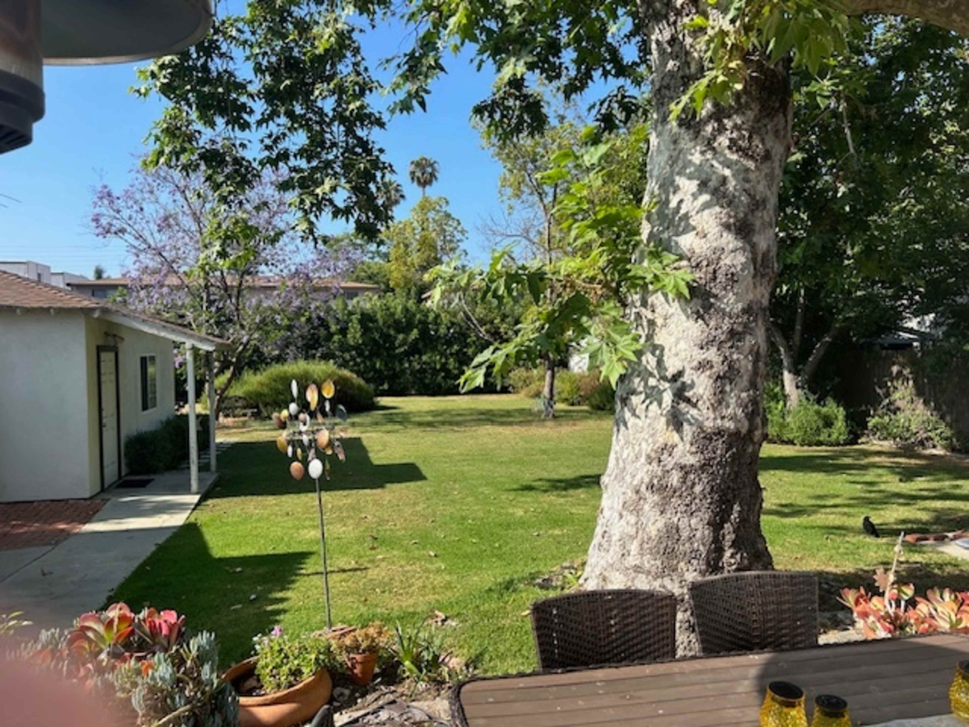 A spacious backyard features a large tree, a grassy lawn, and a small house in the background.