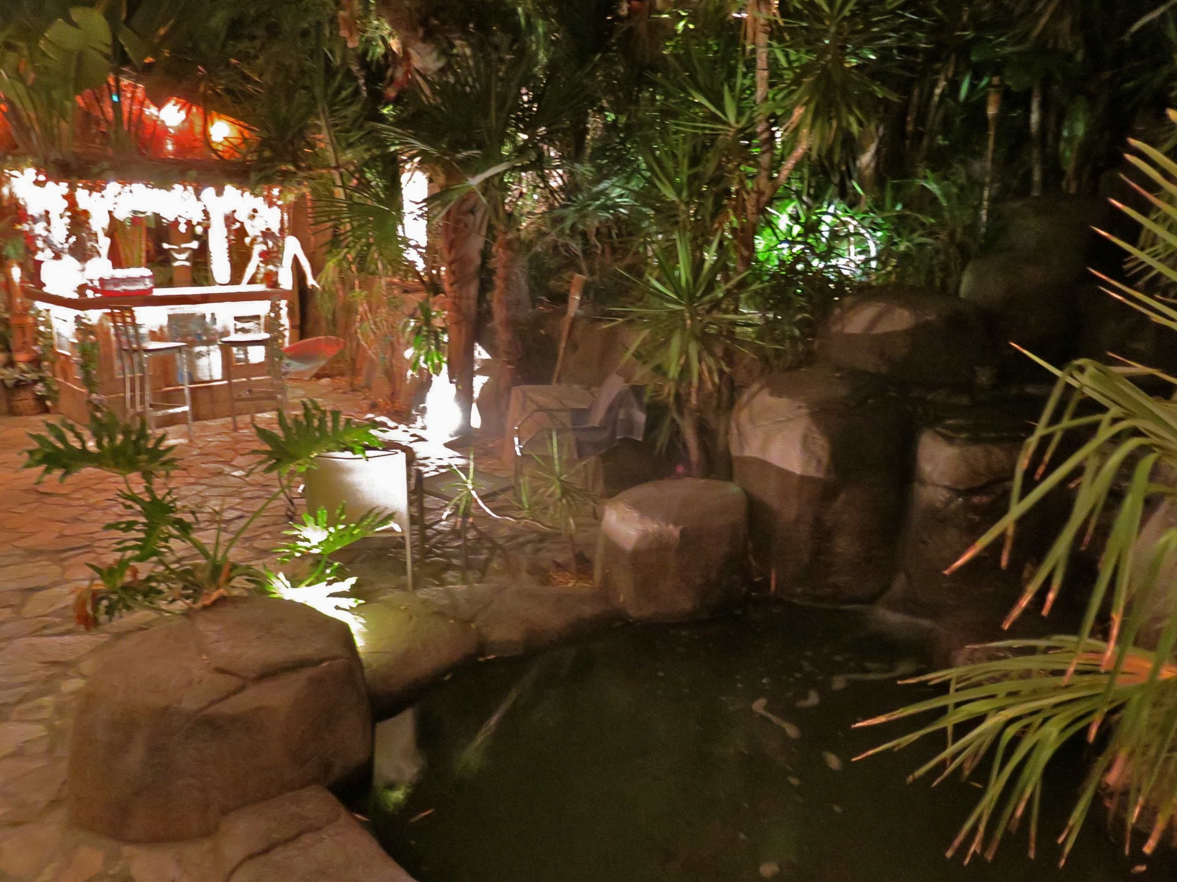 The scene features a dimly lit tropical garden with a small pond surrounded by rocks and lush greenery, alongside a bar area partially obscured by plants.