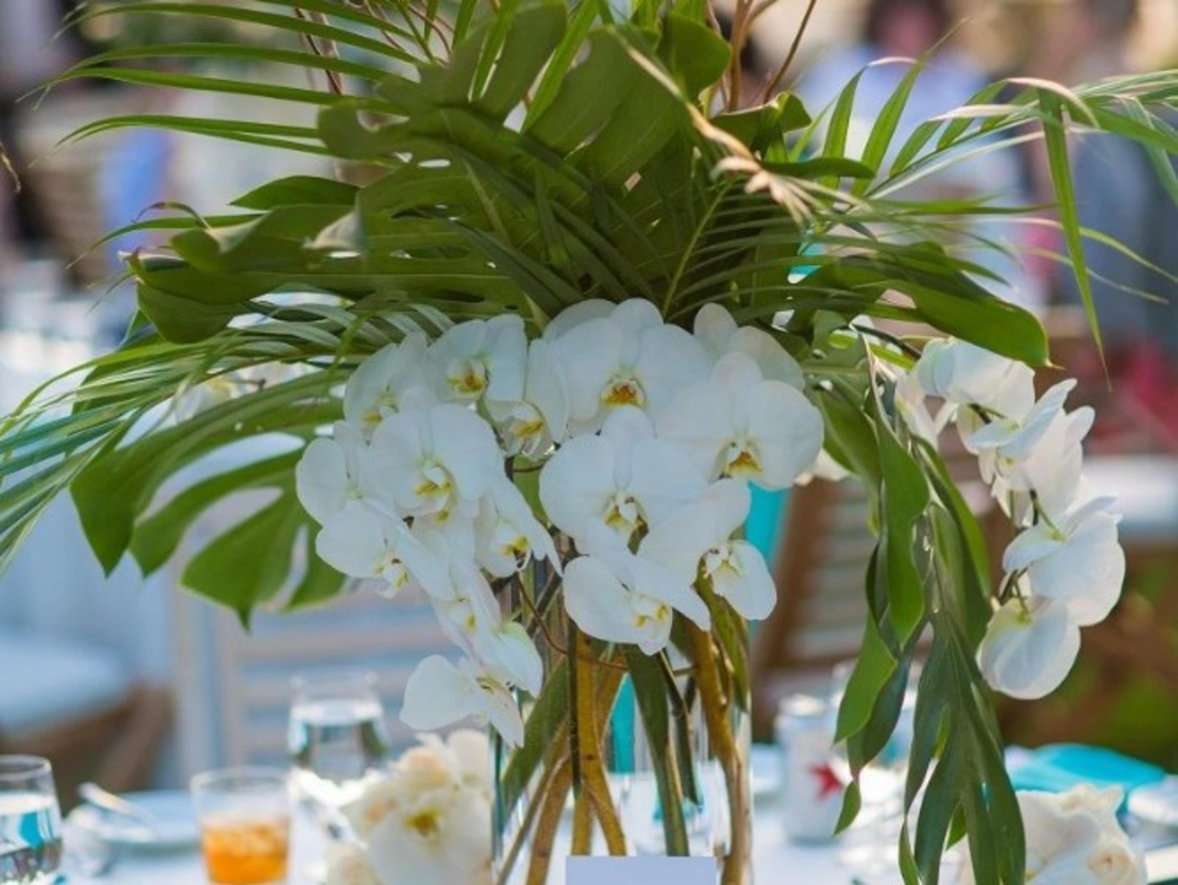 Floral Centerpieces 