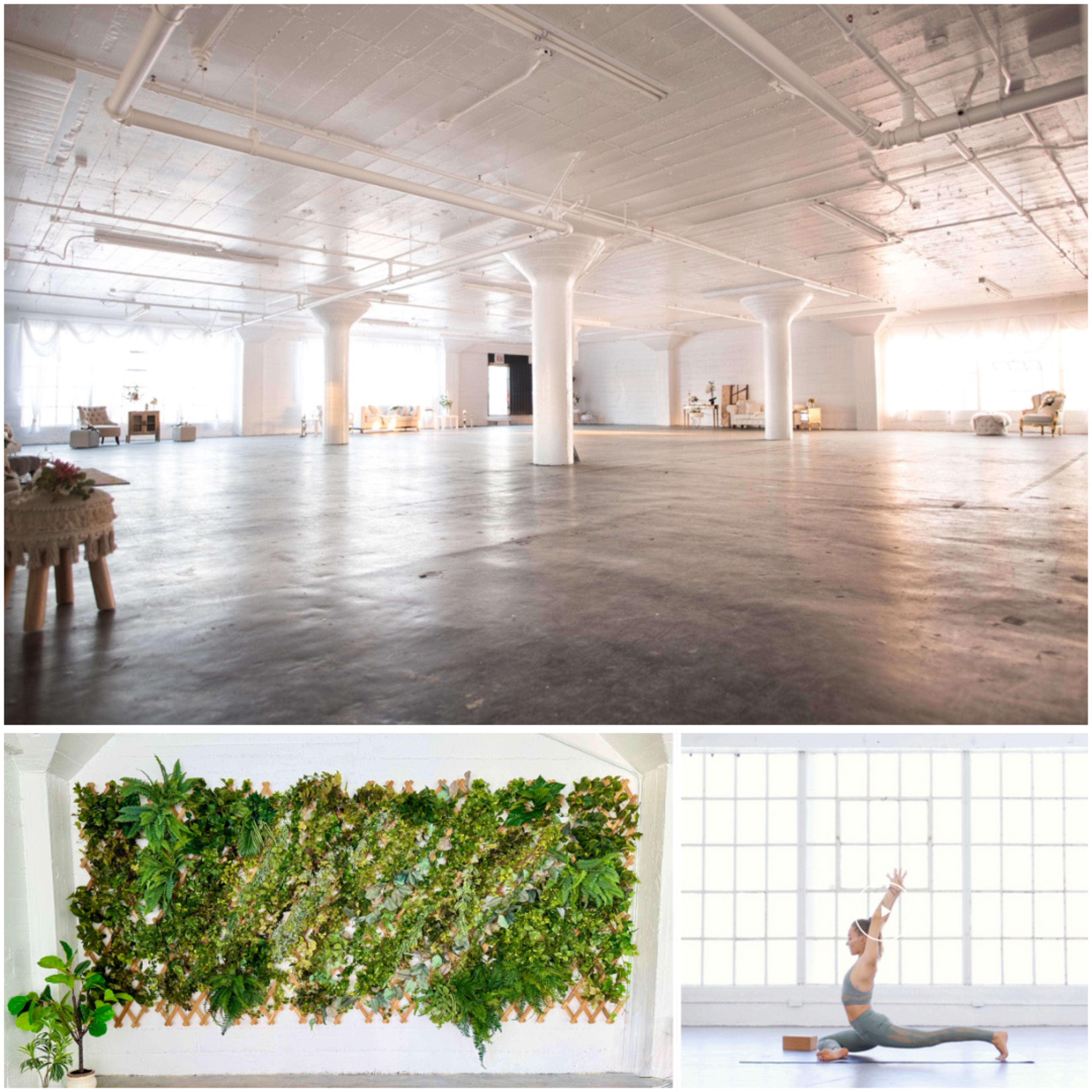 DTLA Industrial Studio w/ Greenery Wall, Epic Natural Light, Skyline Views Image in Central LA, Los Angeles, CA
