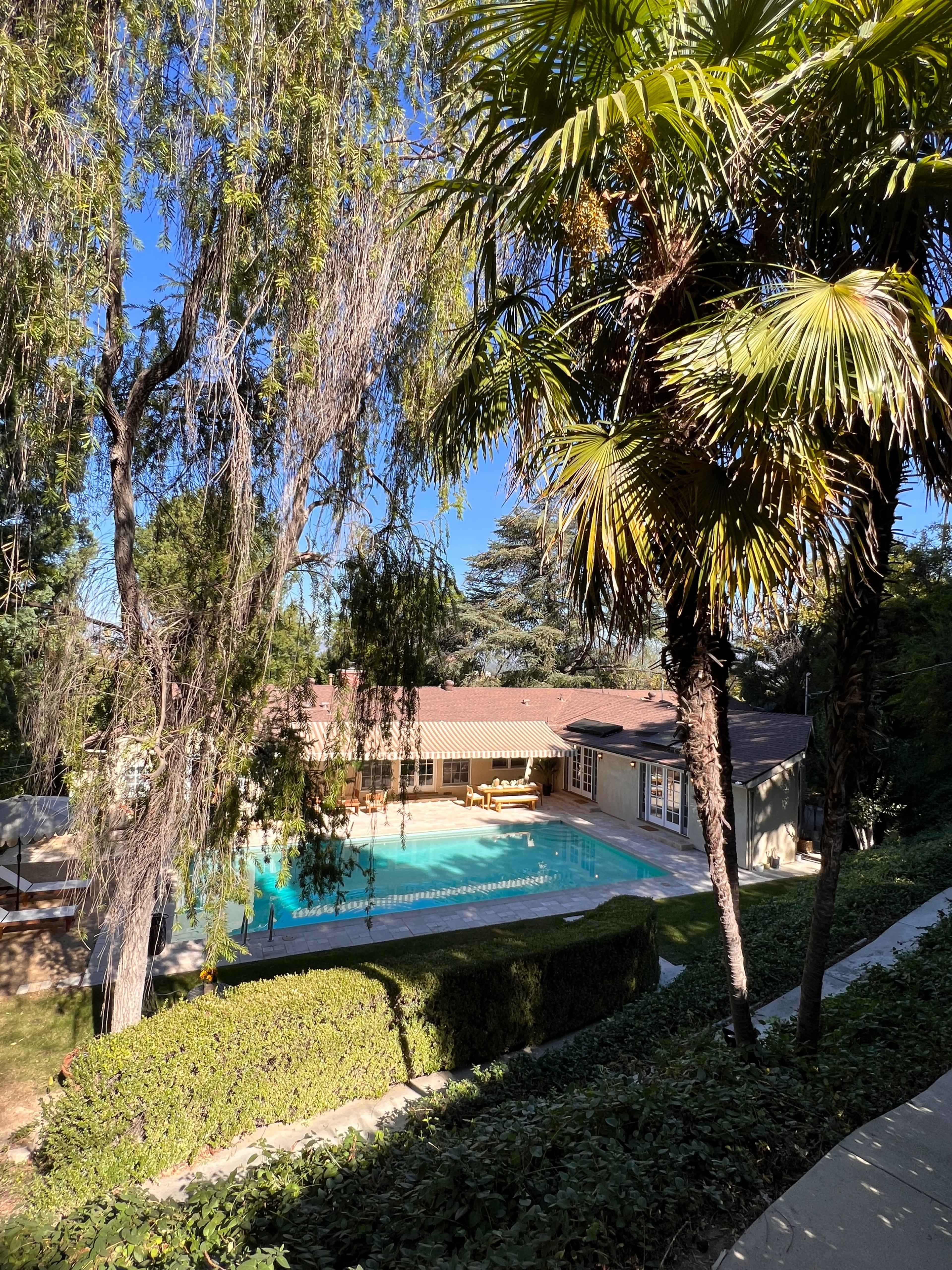 A secluded backyard features a swimming pool surrounded by palm trees and lush greenery, with a house visible in the background.