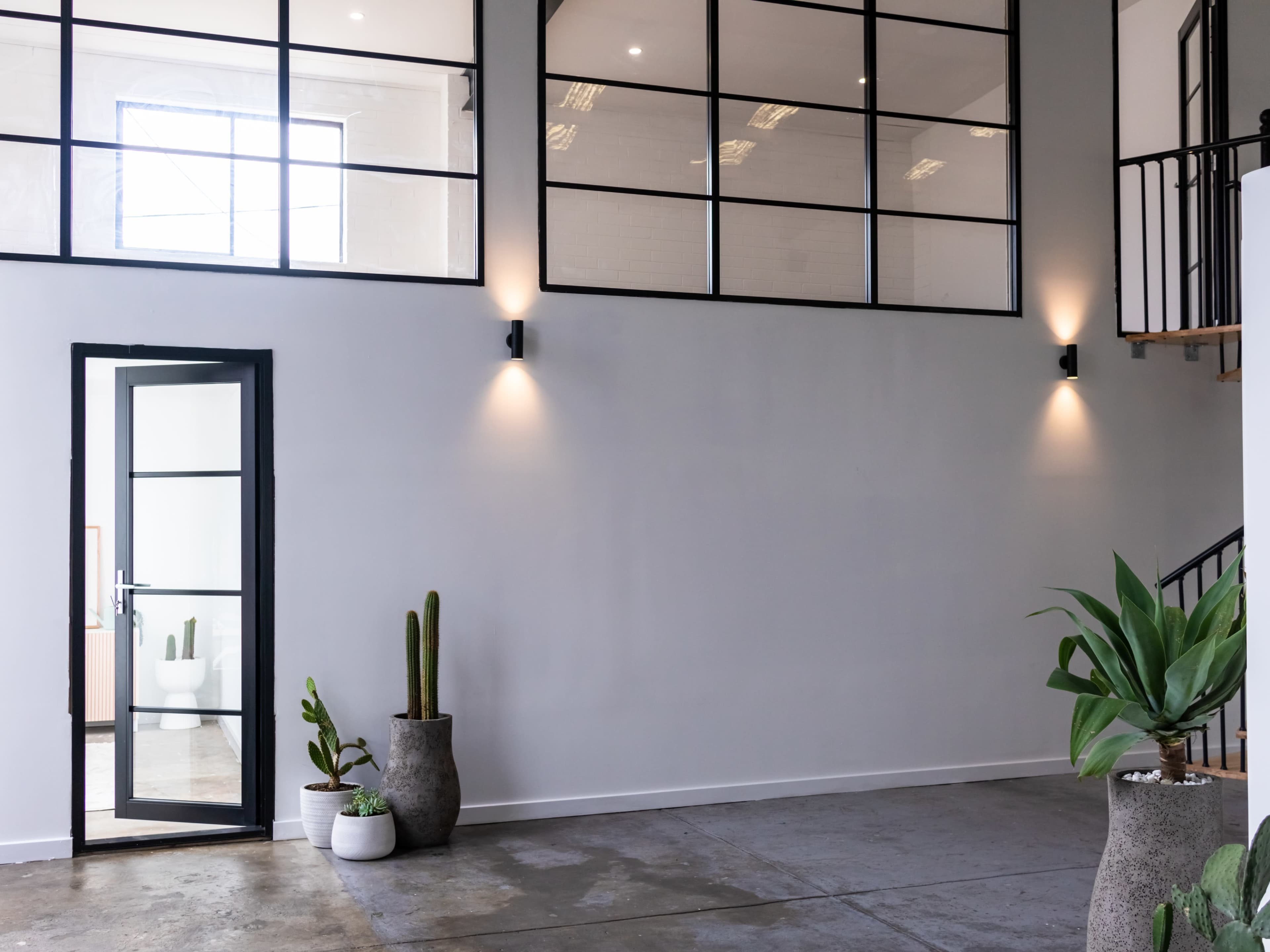 A modern interior with a large glass-paneled wall, a metal-framed door, and potted plants placed against a smooth gray wall.