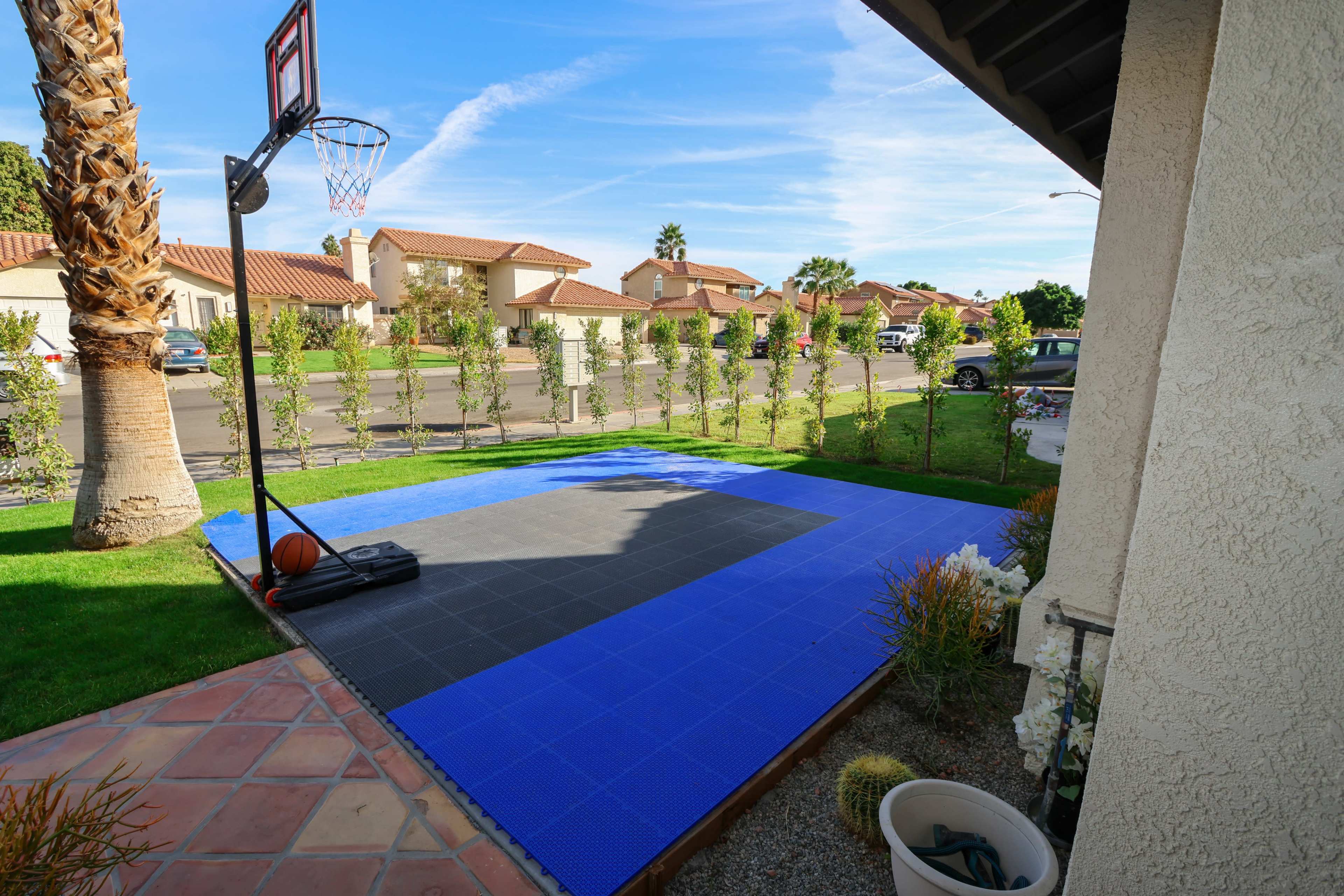 The image shows a basketball half-court with a hoop, situated on a blue and black tiled surface in a residential area with houses and palm trees in the background.