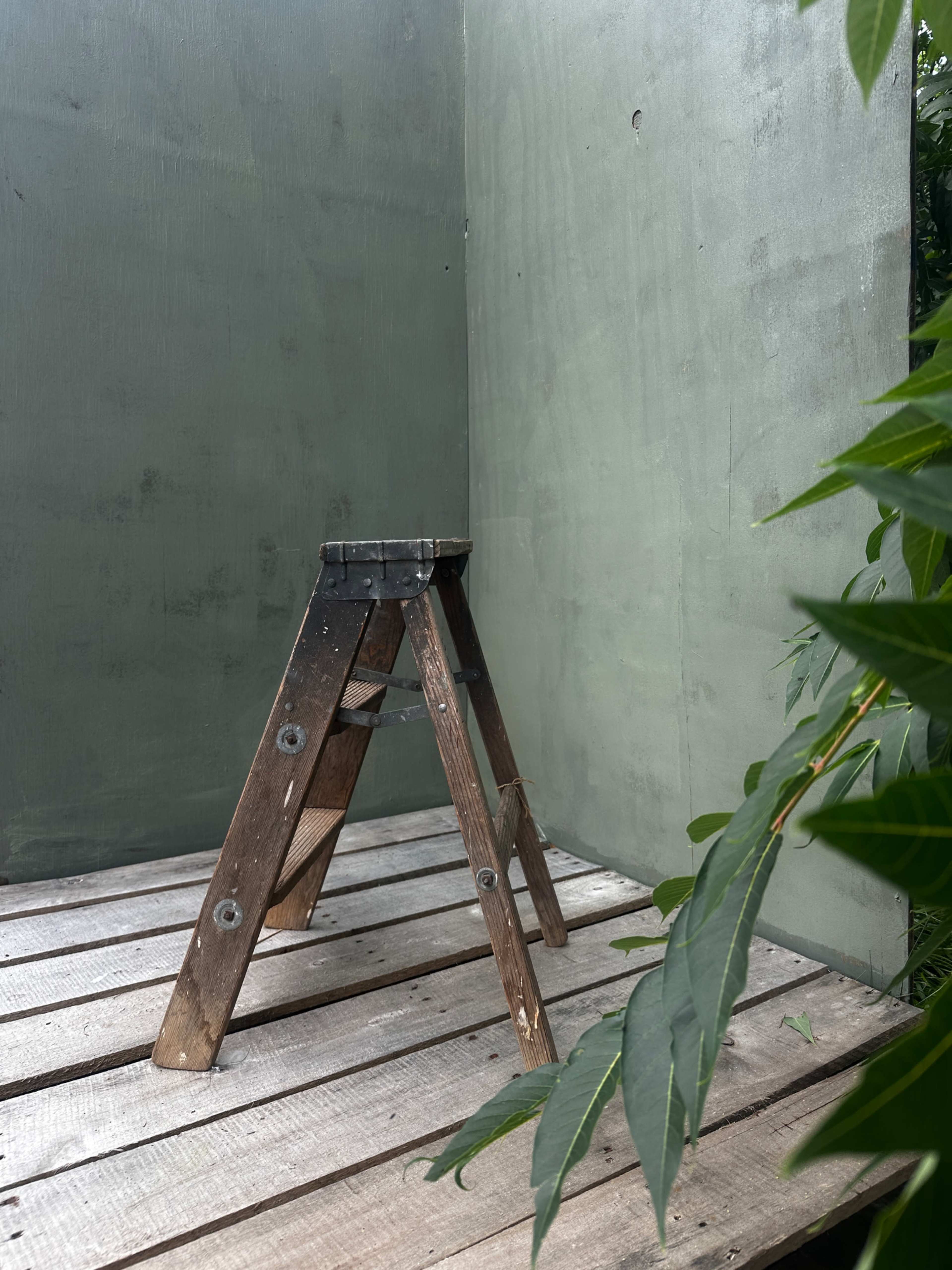 A wooden step stool stands alone on a wooden floor within a small, enclosed space with green walls and surrounding foliage.
