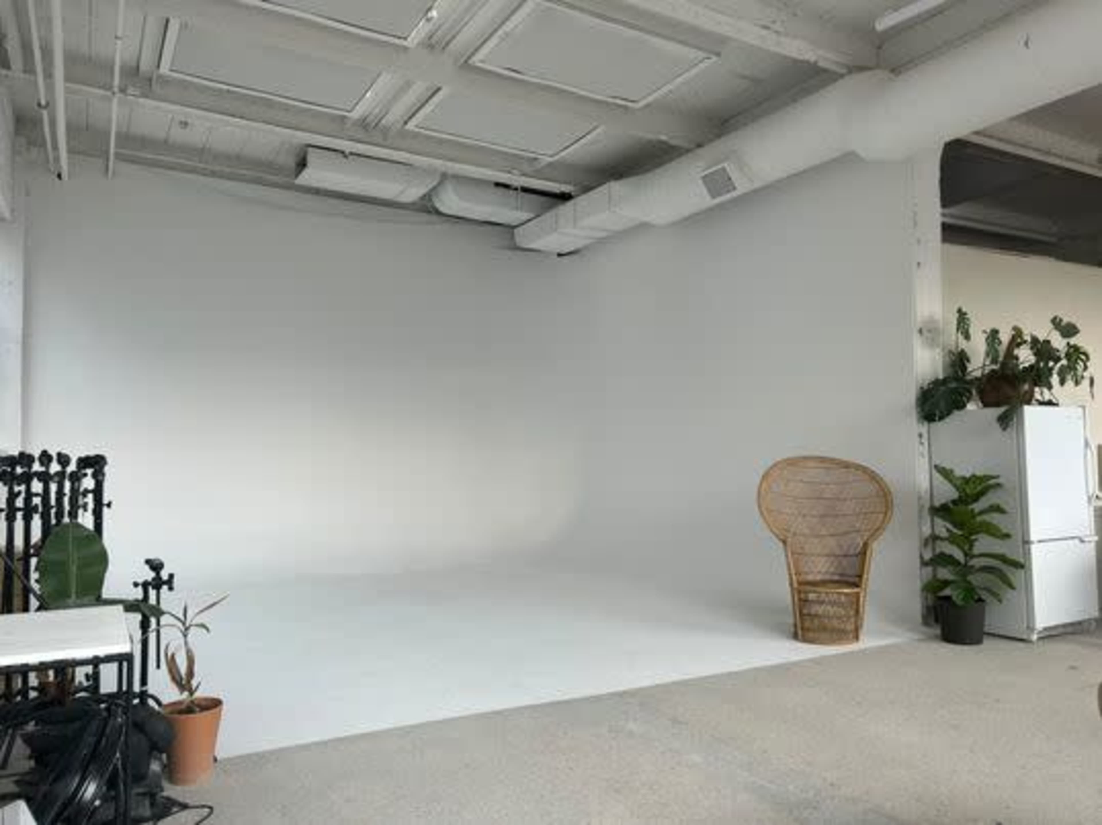 A spacious, empty studio with a white backdrop, a rattan chair, and potted plants.