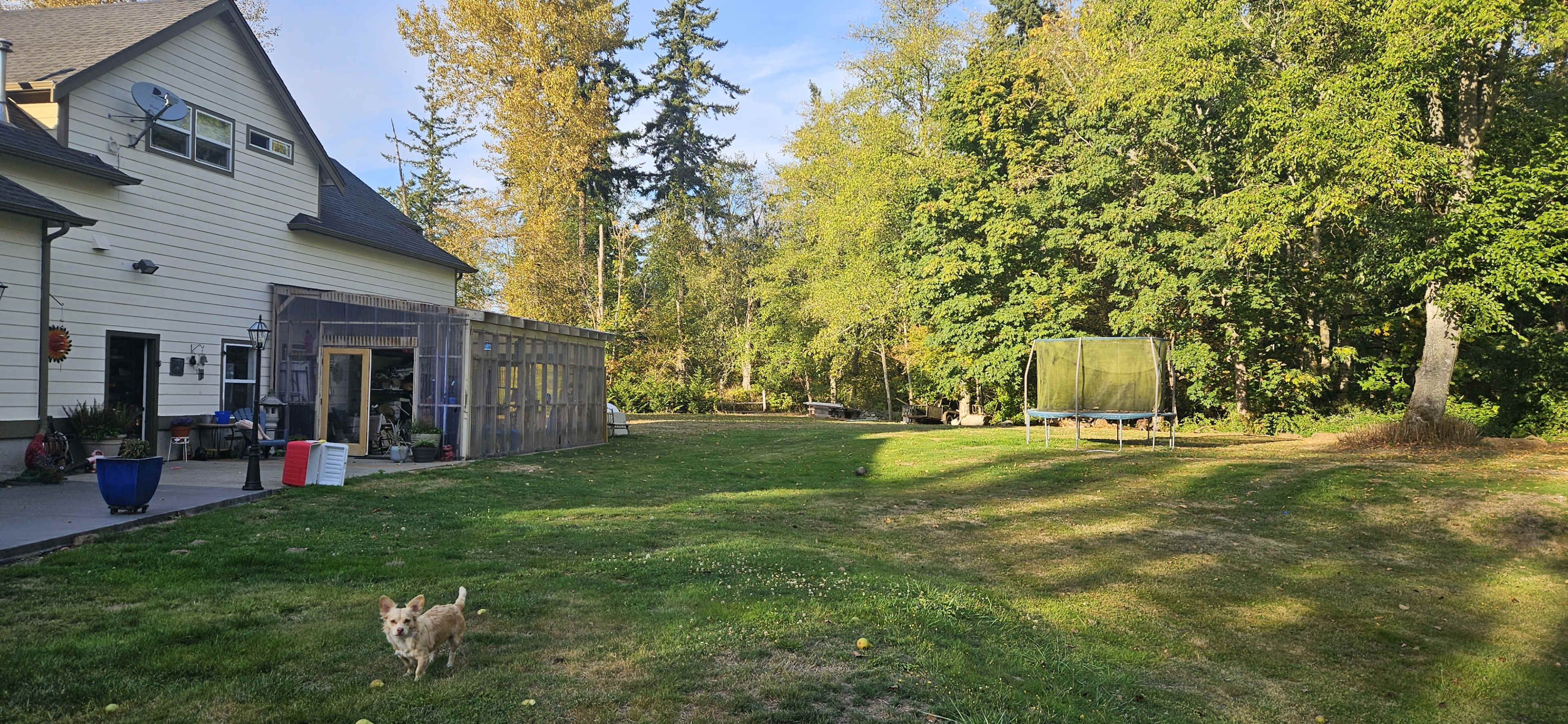 Country house set for get togethers woods surrounding the house lots of room for your events jacobs Image in , MOUNT VERNON, WA