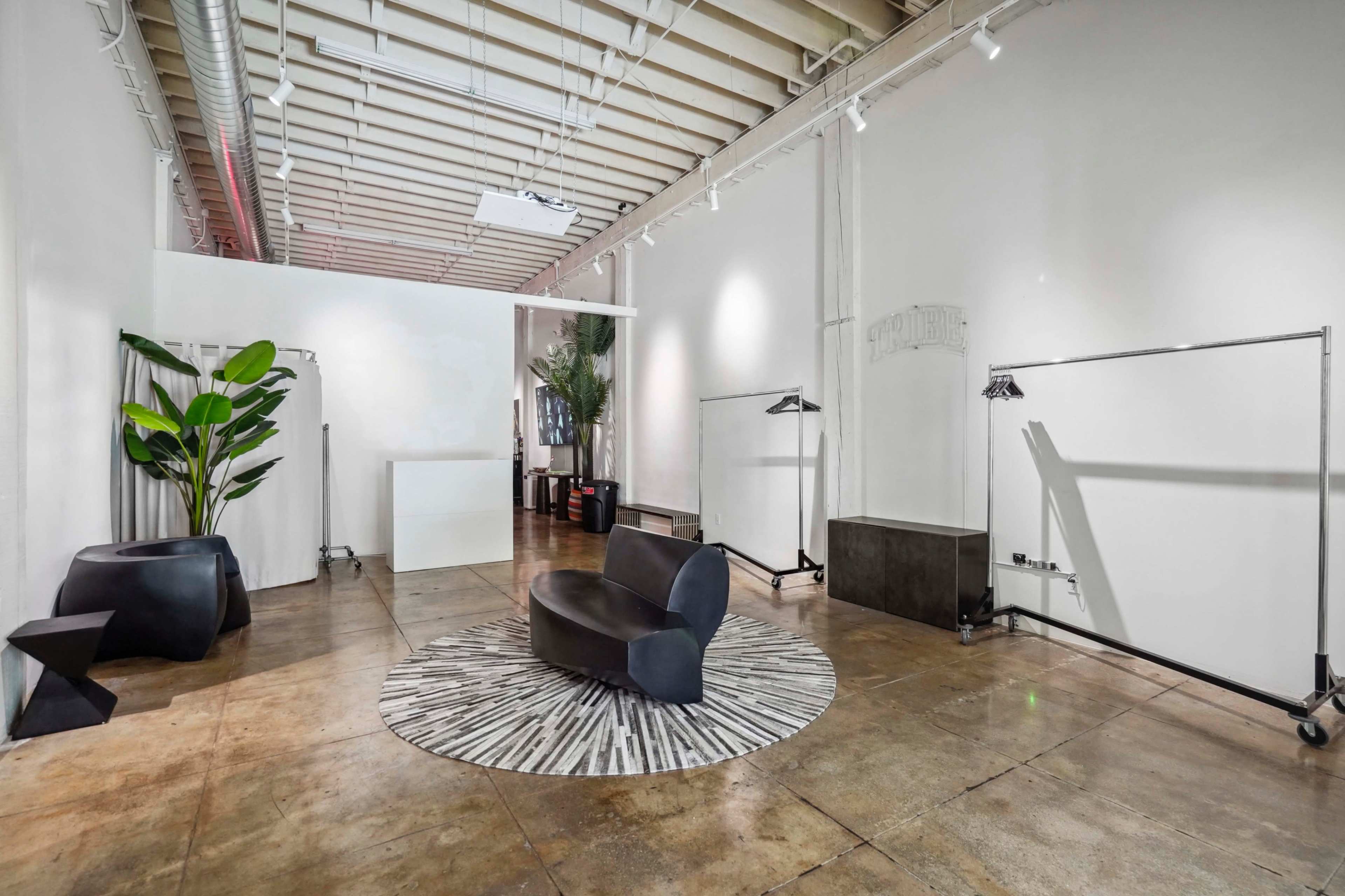 A minimalist interior space featuring a circular rug, a sleek black seating area, greenery, and light fixtures along the exposed ceiling.