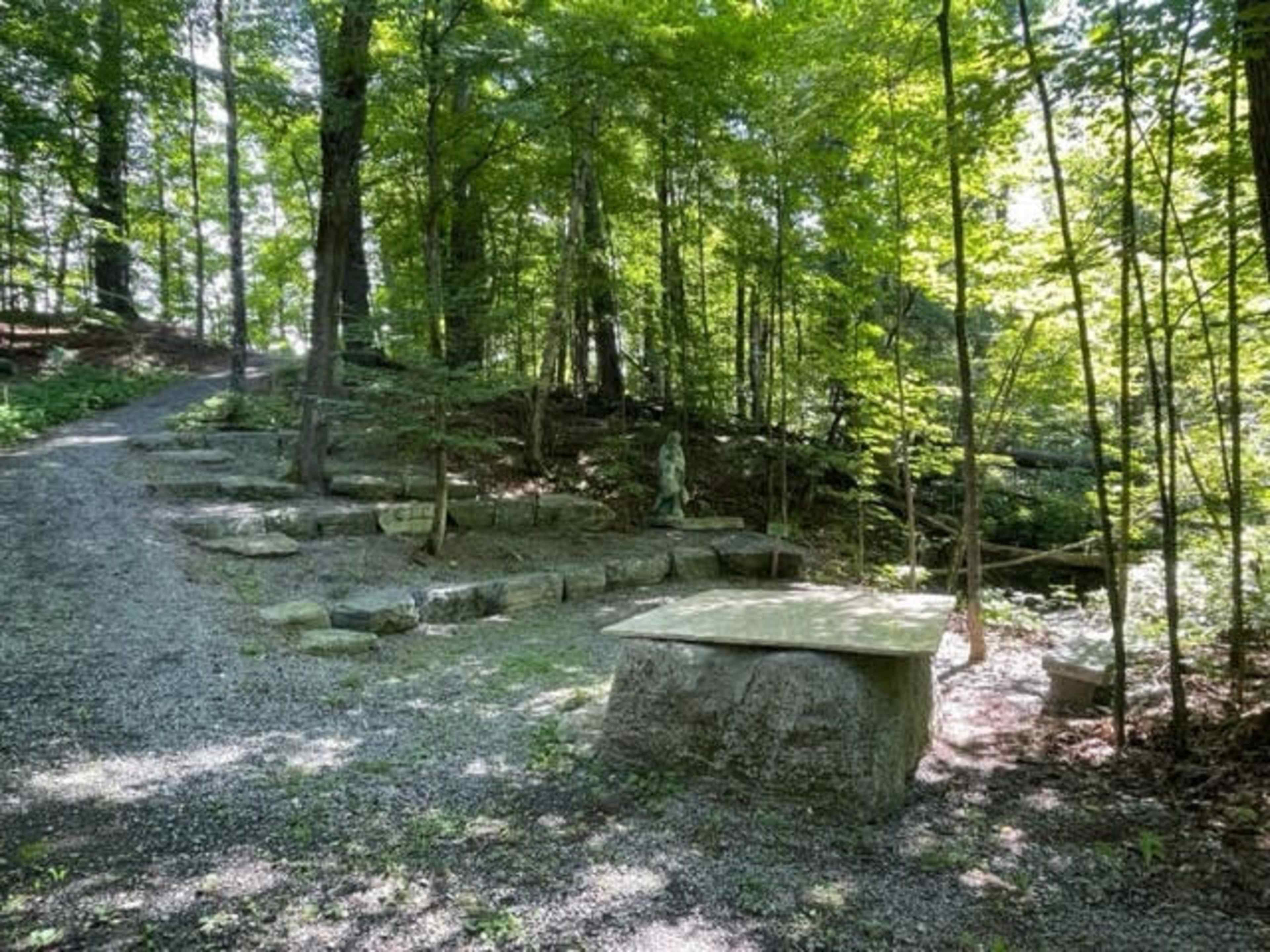 The image shows a pathway through a wooded area with stepping stones and a flat stone surface surrounded by lush green trees.