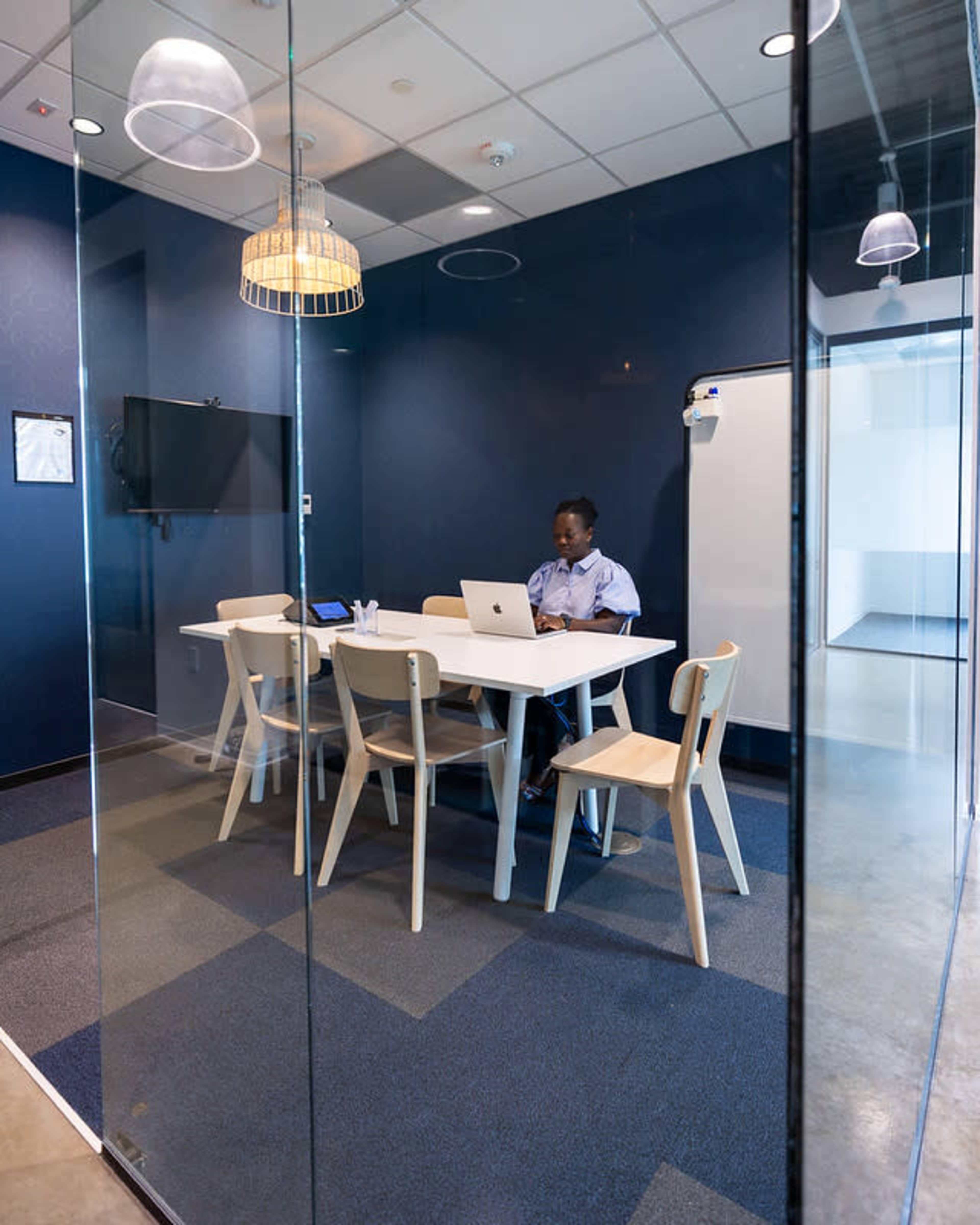 Modern 6-Person Meeting Room in Newport News | Sea Horse Image in Tech Center, Newport News, VA