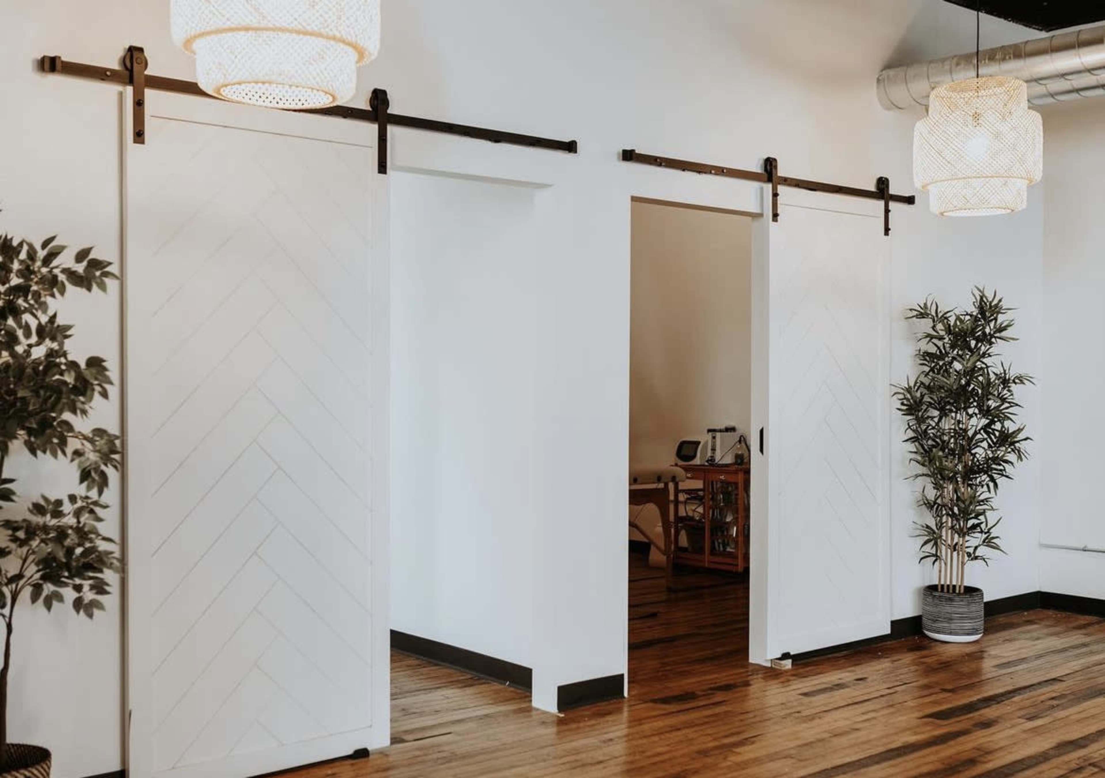 A spacious room featuring two sliding barn doors on a track, with potted plants positioned beside them and a wooden floor.