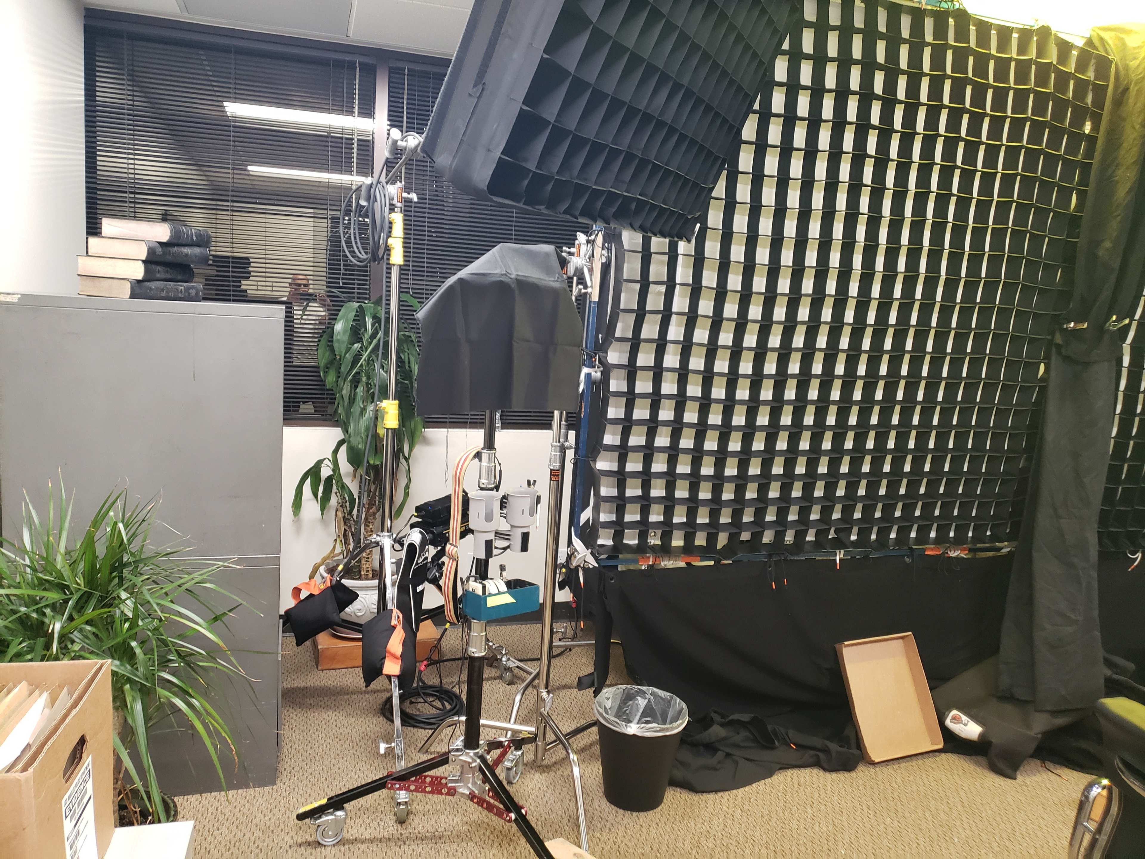 A cluttered studio space with lighting equipment, a backdrop, and various items including a plant and cardboard boxes.
