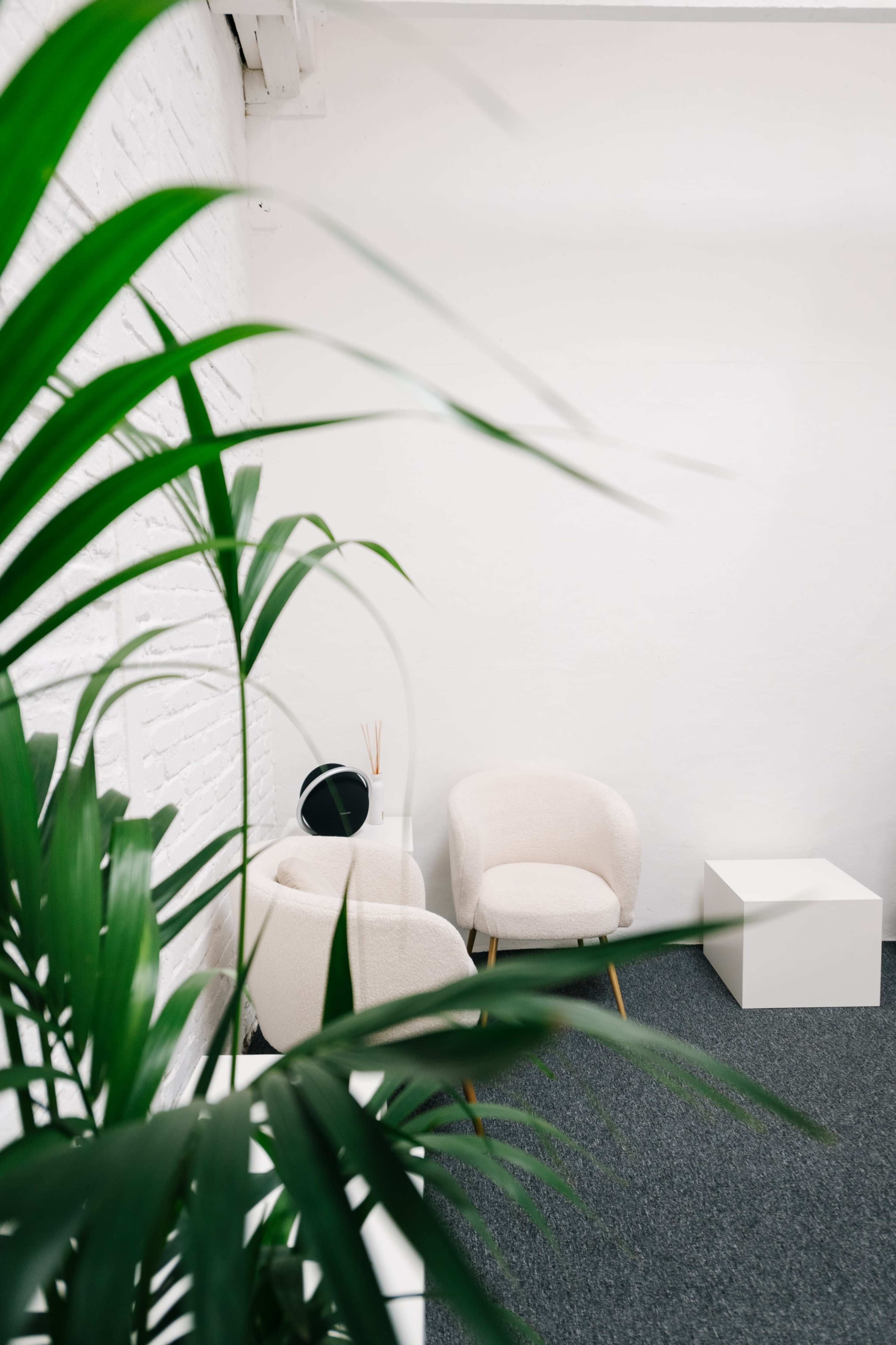 The image shows a minimalist room with two plush chairs, a small white table, and a decorative plant in the foreground.