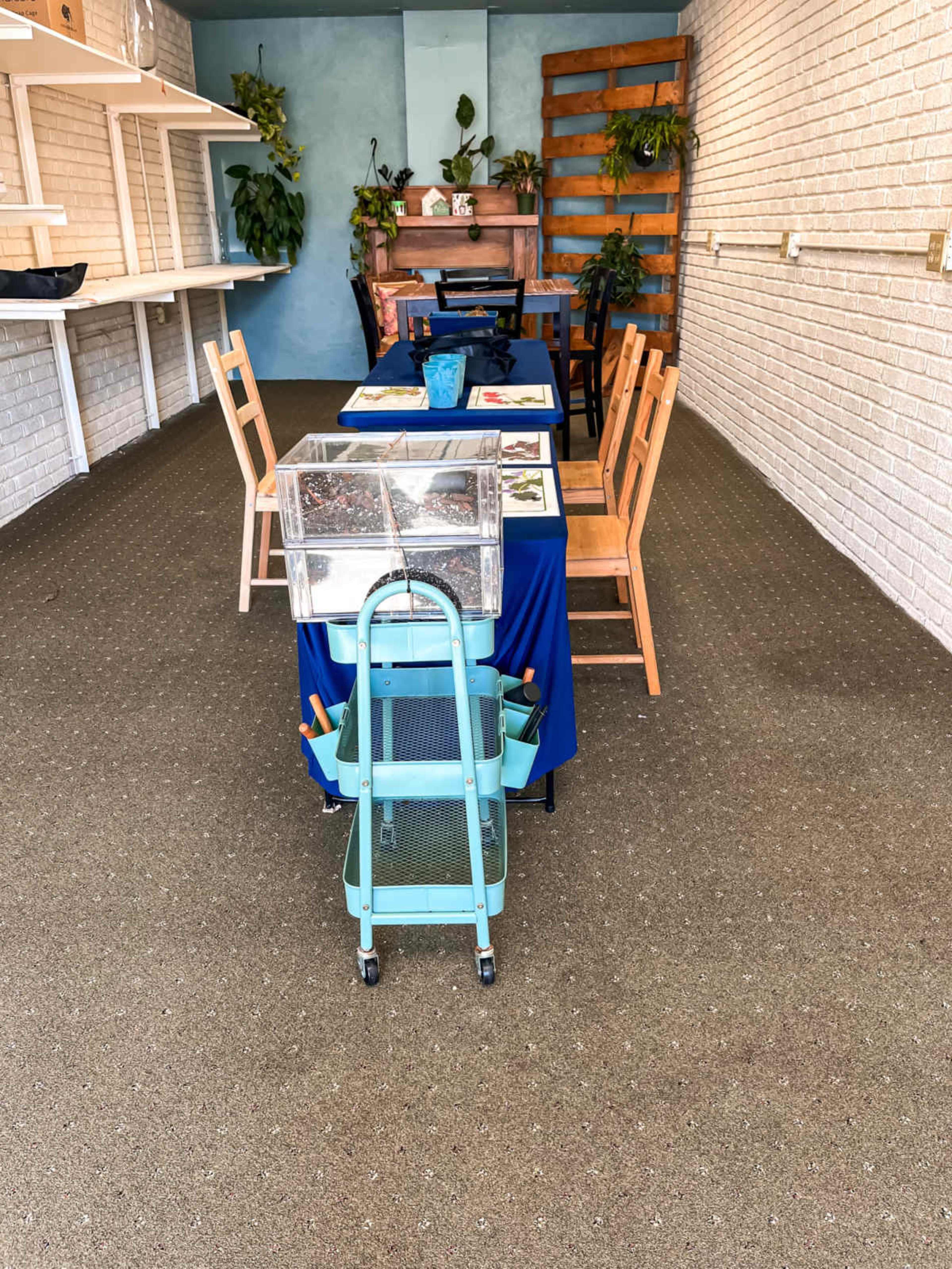 Downtown Plant and Floral Studio Image in Hendersonville, Hendersonville, NC