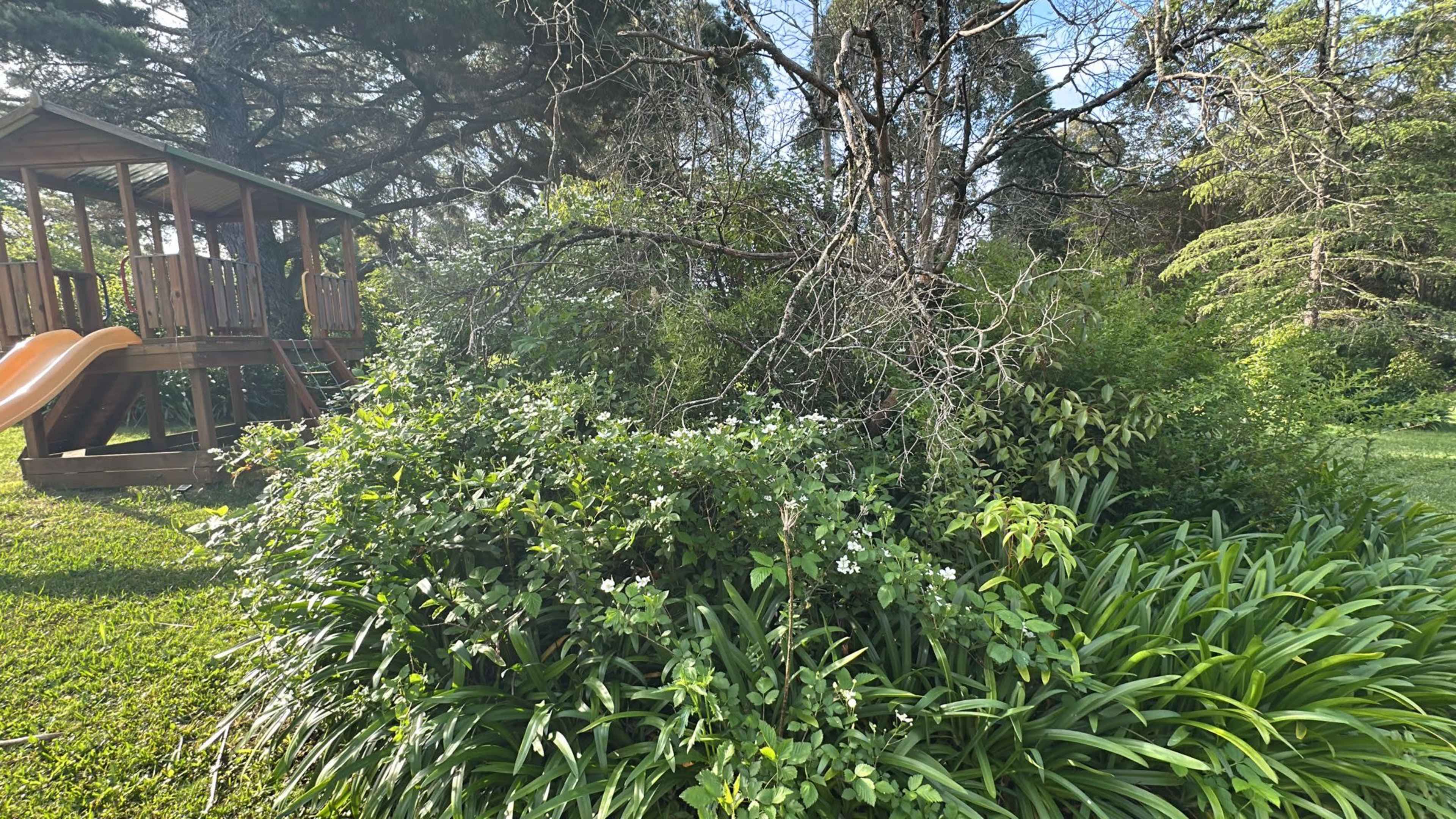 Dural paradise 1 Image in Dural, Dural, NSW