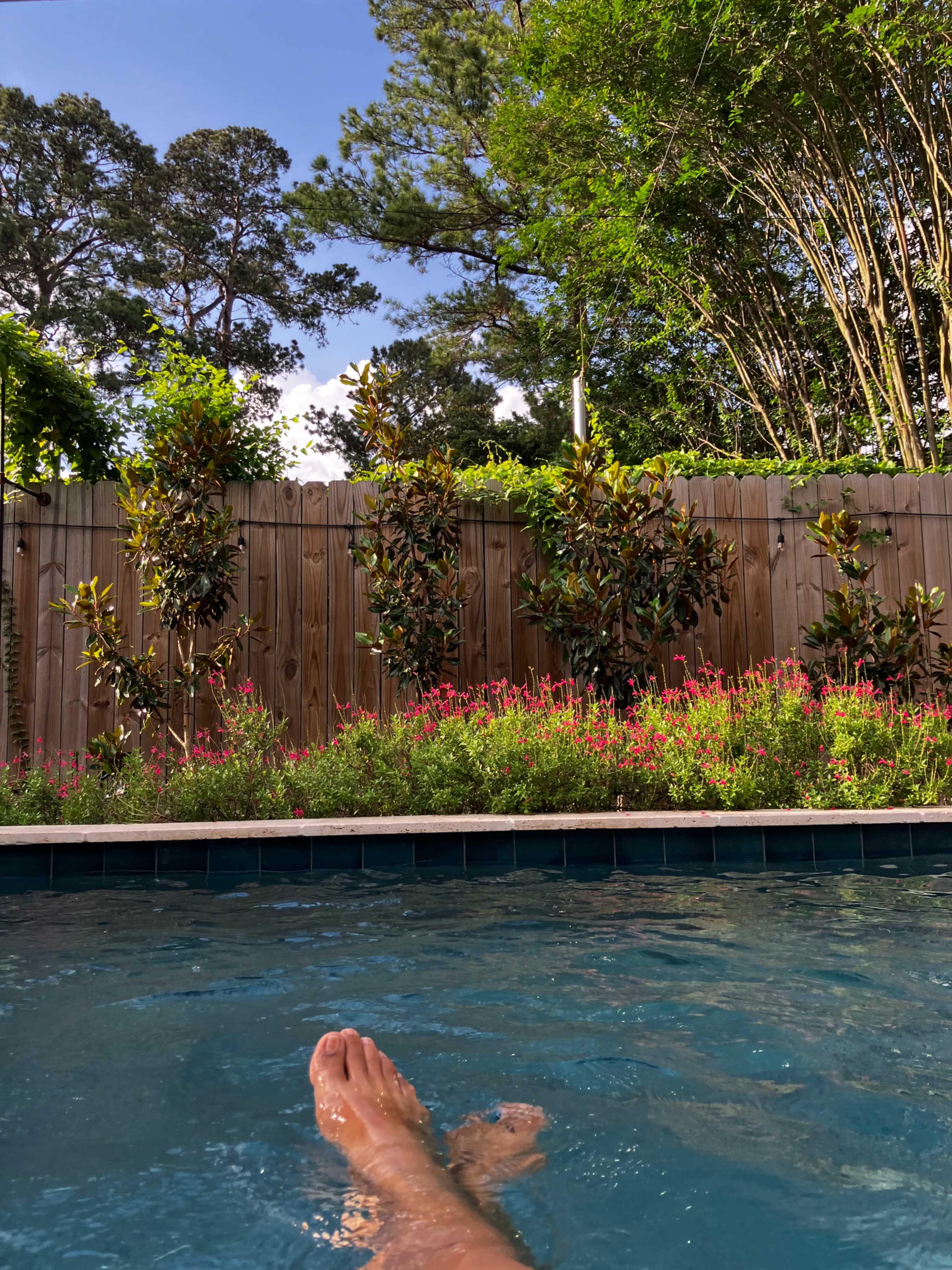 Garden Oasis with lush landscaping and pool Image in Northside, Houston, TX