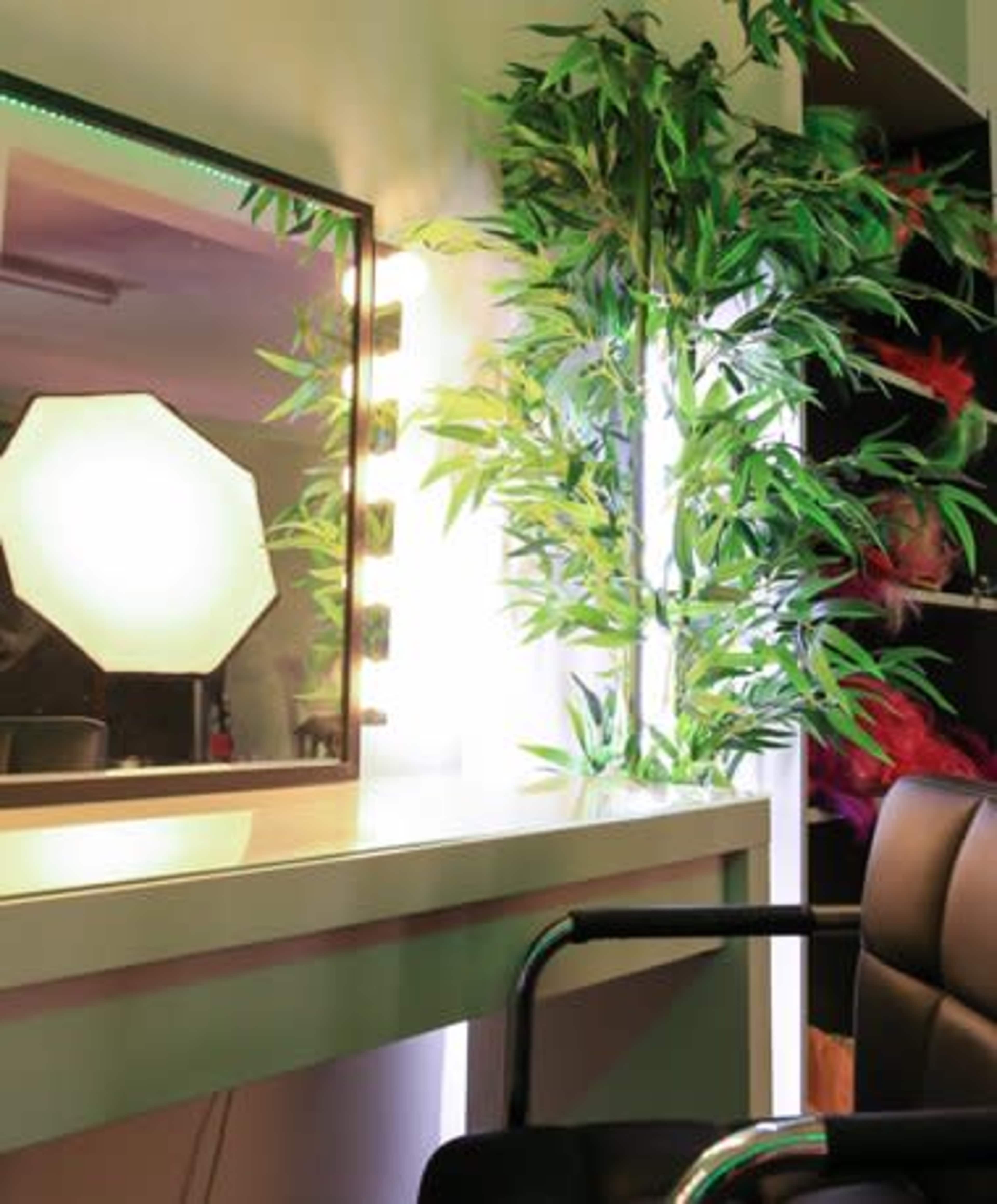 A vanity mirror with soft lighting is positioned next to a plant and a black chair in a well-lit room.