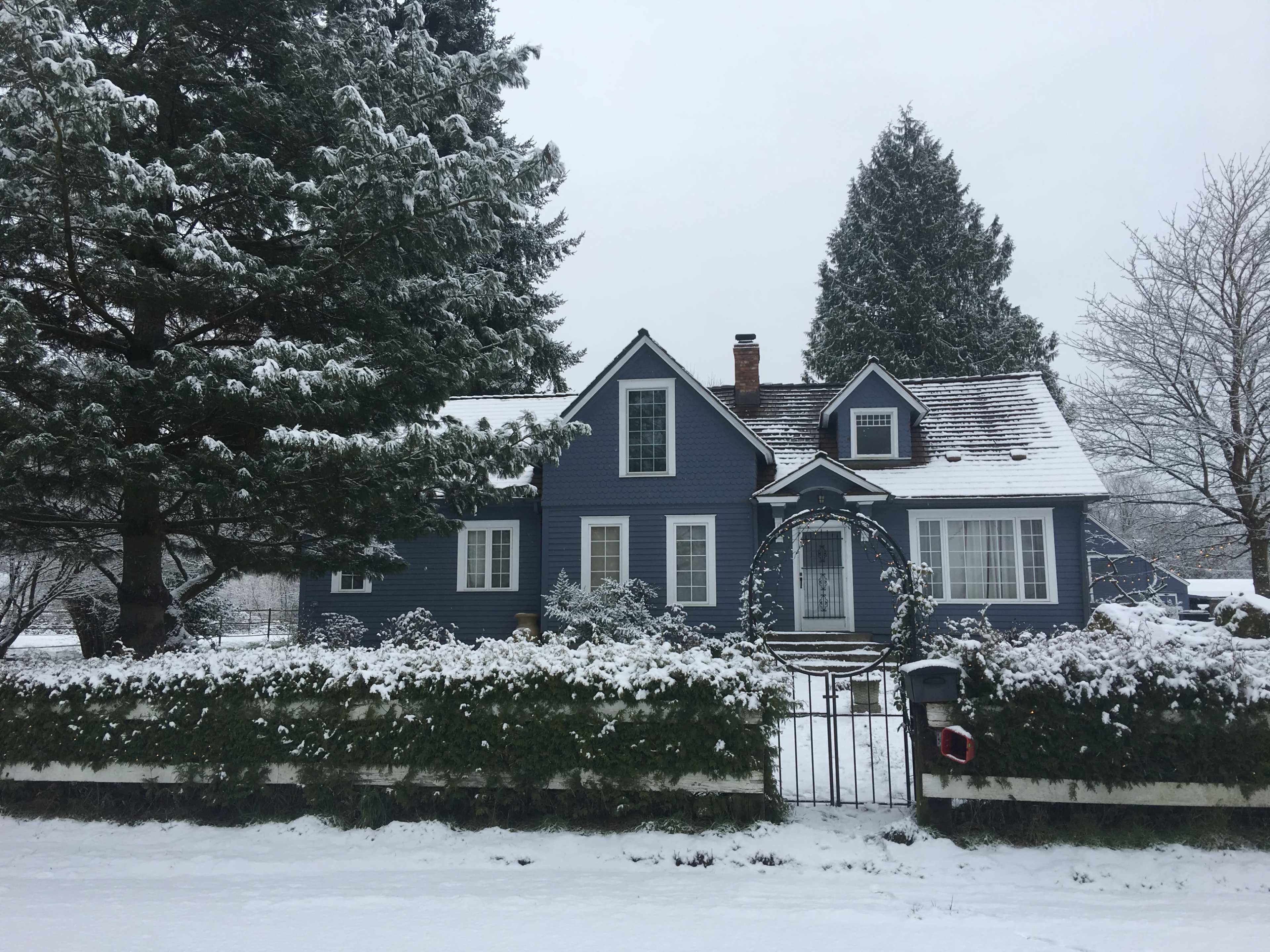 A blue house with a white trim and snow-covered yard is surrounded by evergreen trees and a neatly trimmed hedge.