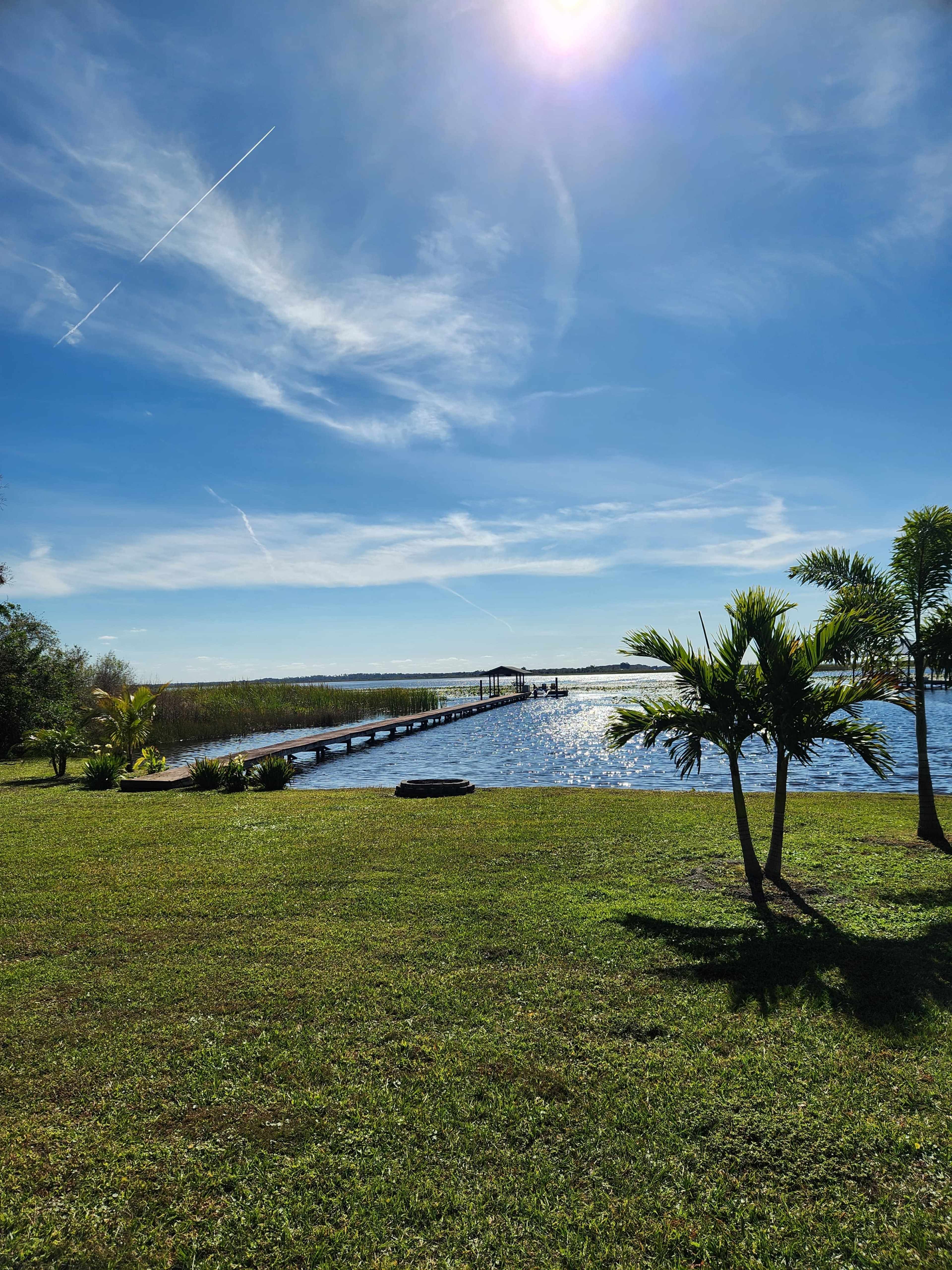 A wooden dock extends into a serene body of water, surrounded by lush greenery under a clear blue sky.