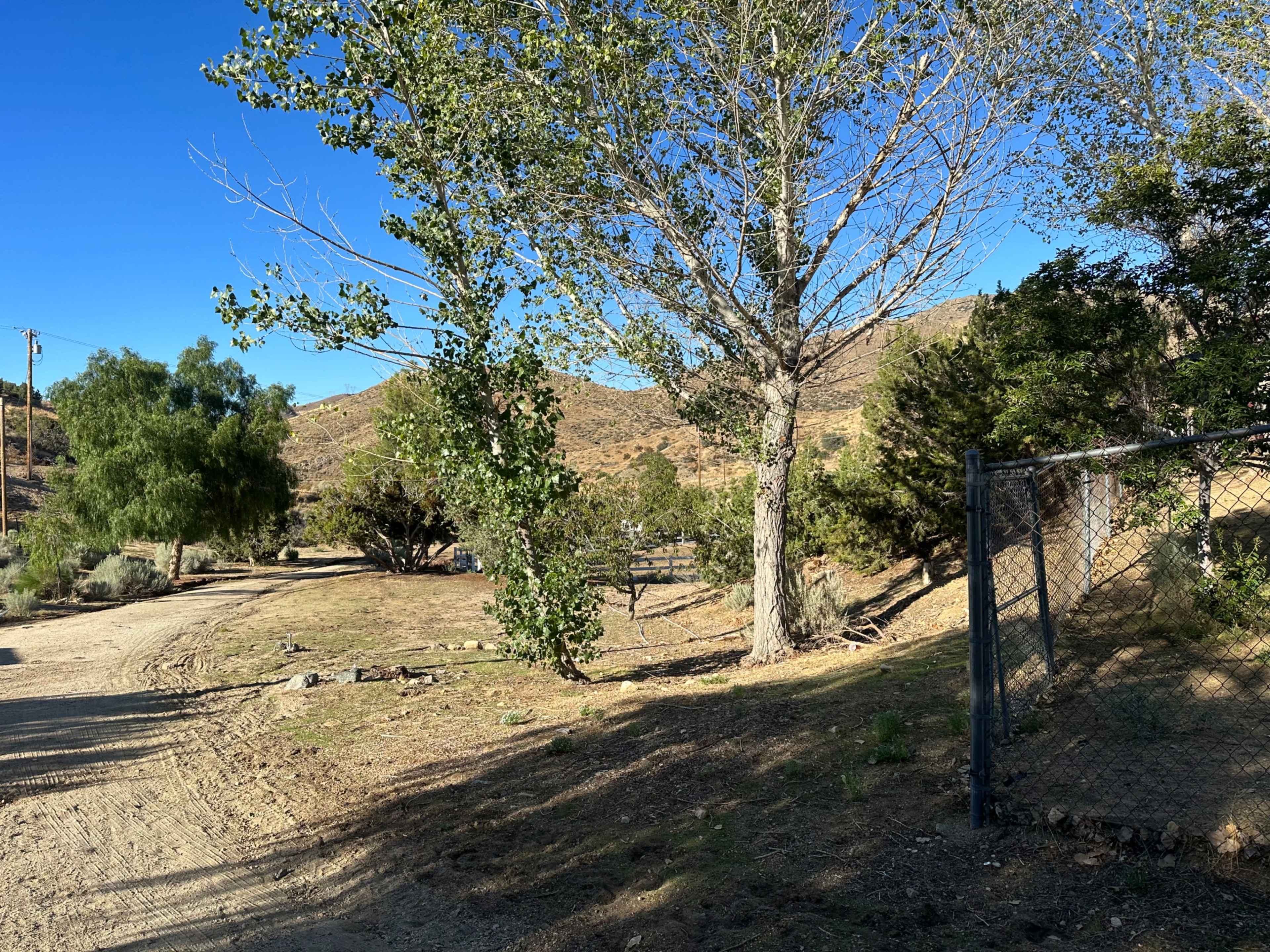 A dirt road winds through a dry landscape adorned with trees and a chain-link fence.