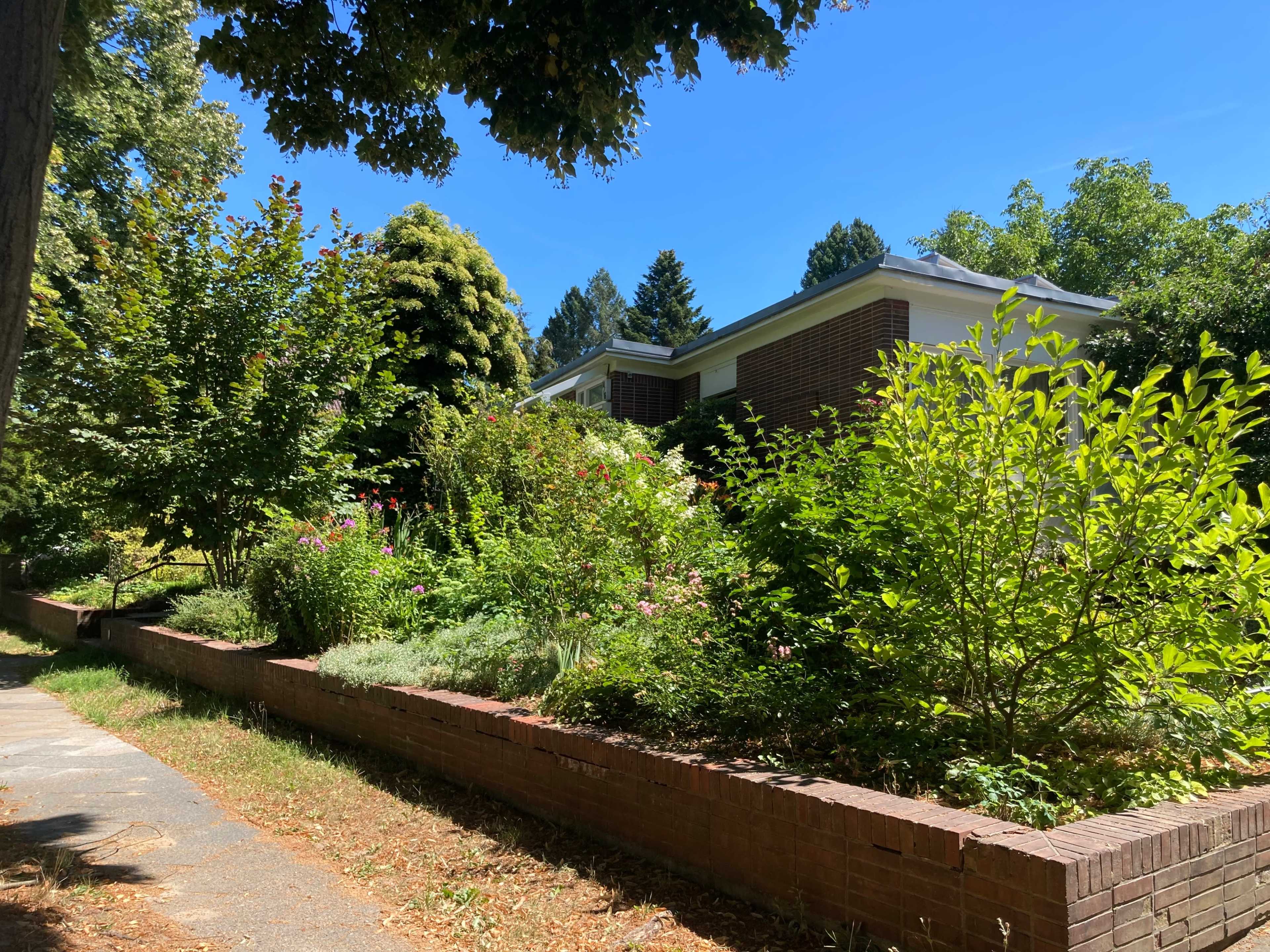 A brick wall borders a garden filled with various plants and shrubs in front of a house under a clear blue sky.