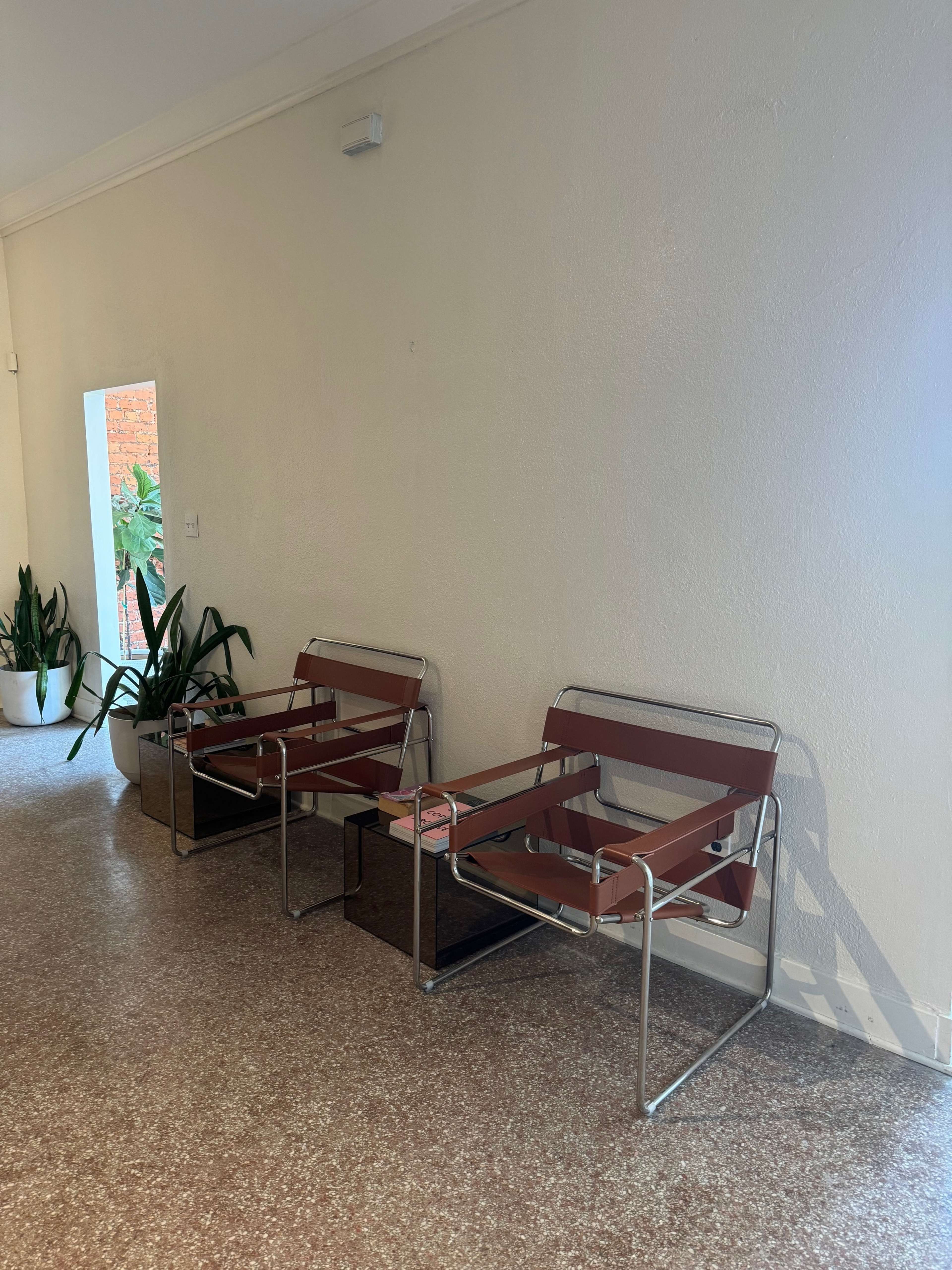 Two modern chairs placed against a white wall in a hallway, alongside a potted plant.