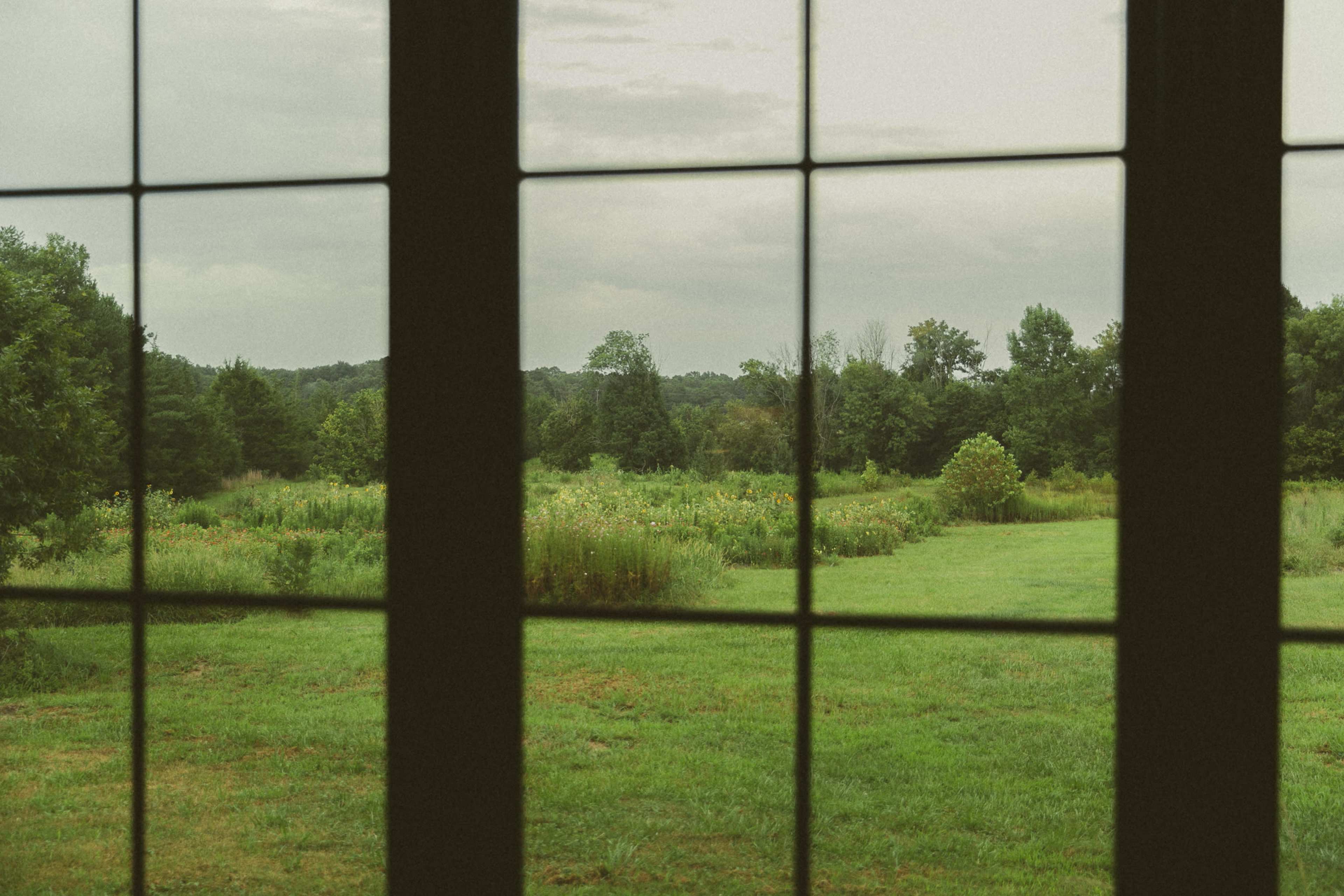 The image shows an outdoor landscape with greenery and wildflowers, viewed through a window framed by six panes.