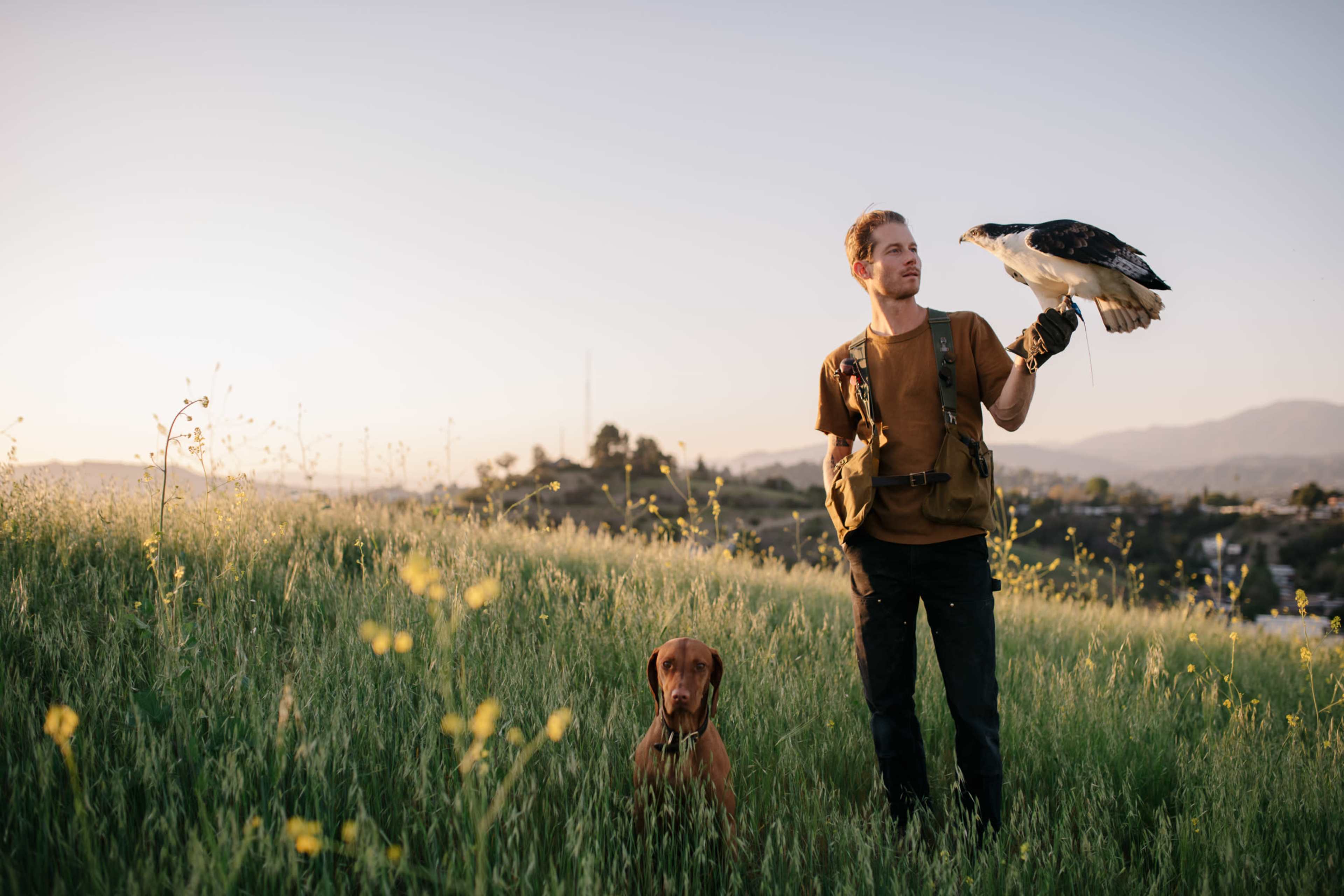 A man stands in a field at sunset, holding a hawk on his gloved hand, while a dog sits beside him.
