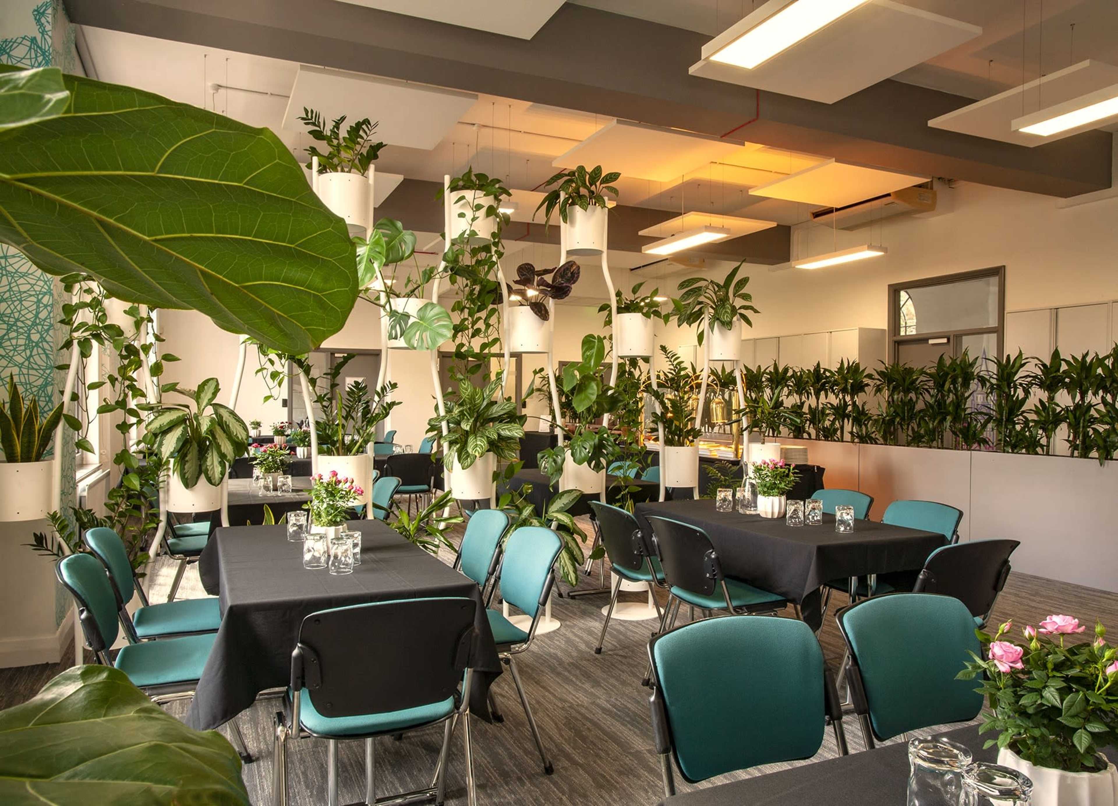 A bright indoor space is filled with tables and chairs, surrounded by numerous potted plants hanging from the ceiling and positioned around the room.