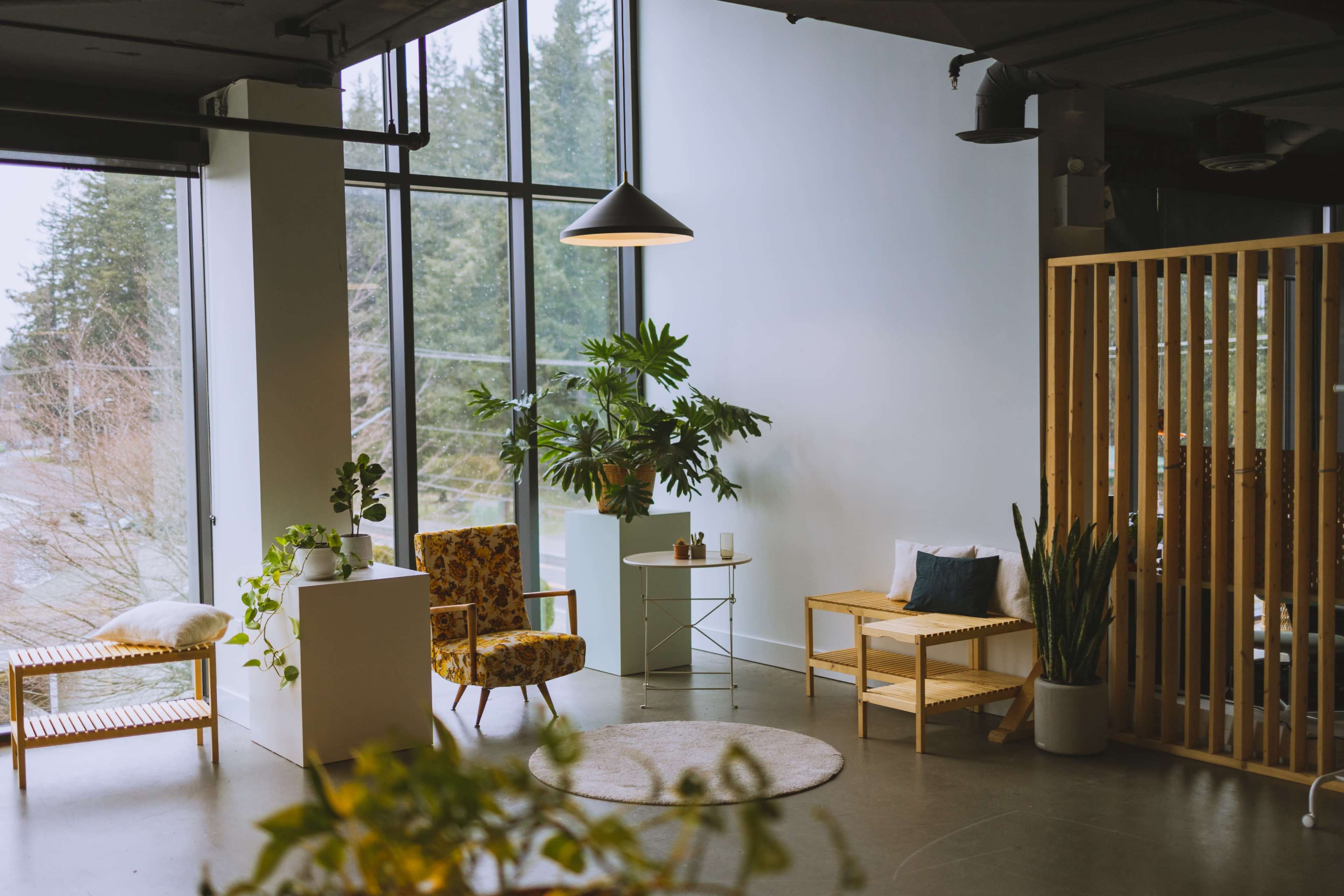 A modern interior space with large windows, featuring a seating area with floral-patterned chairs, greenery, and minimalist furniture.