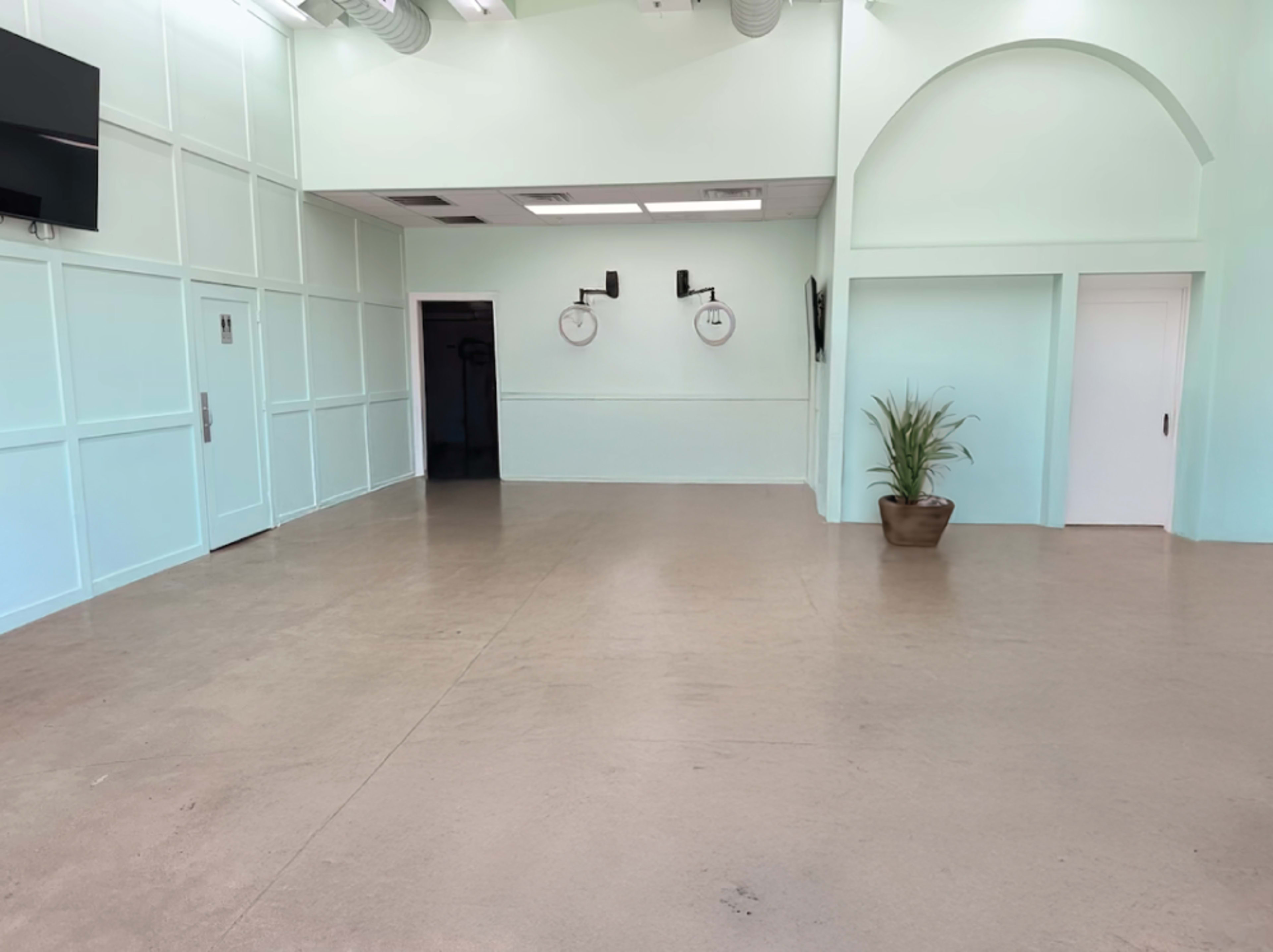 The image shows a spacious, empty room with light green walls, large windows, and a potted plant in one corner.