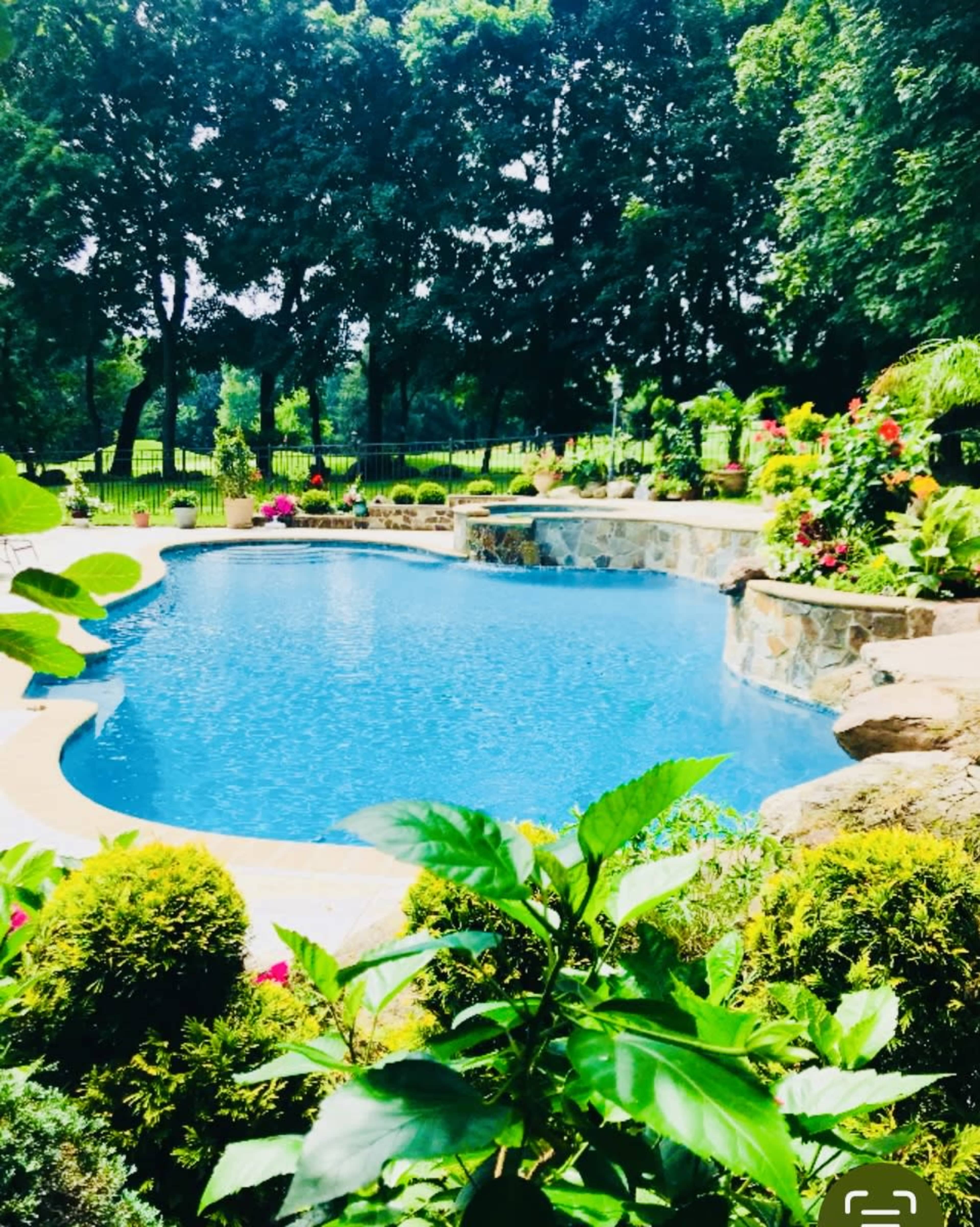 The image shows a sparkling blue swimming pool surrounded by lush greenery and vibrant flowers.