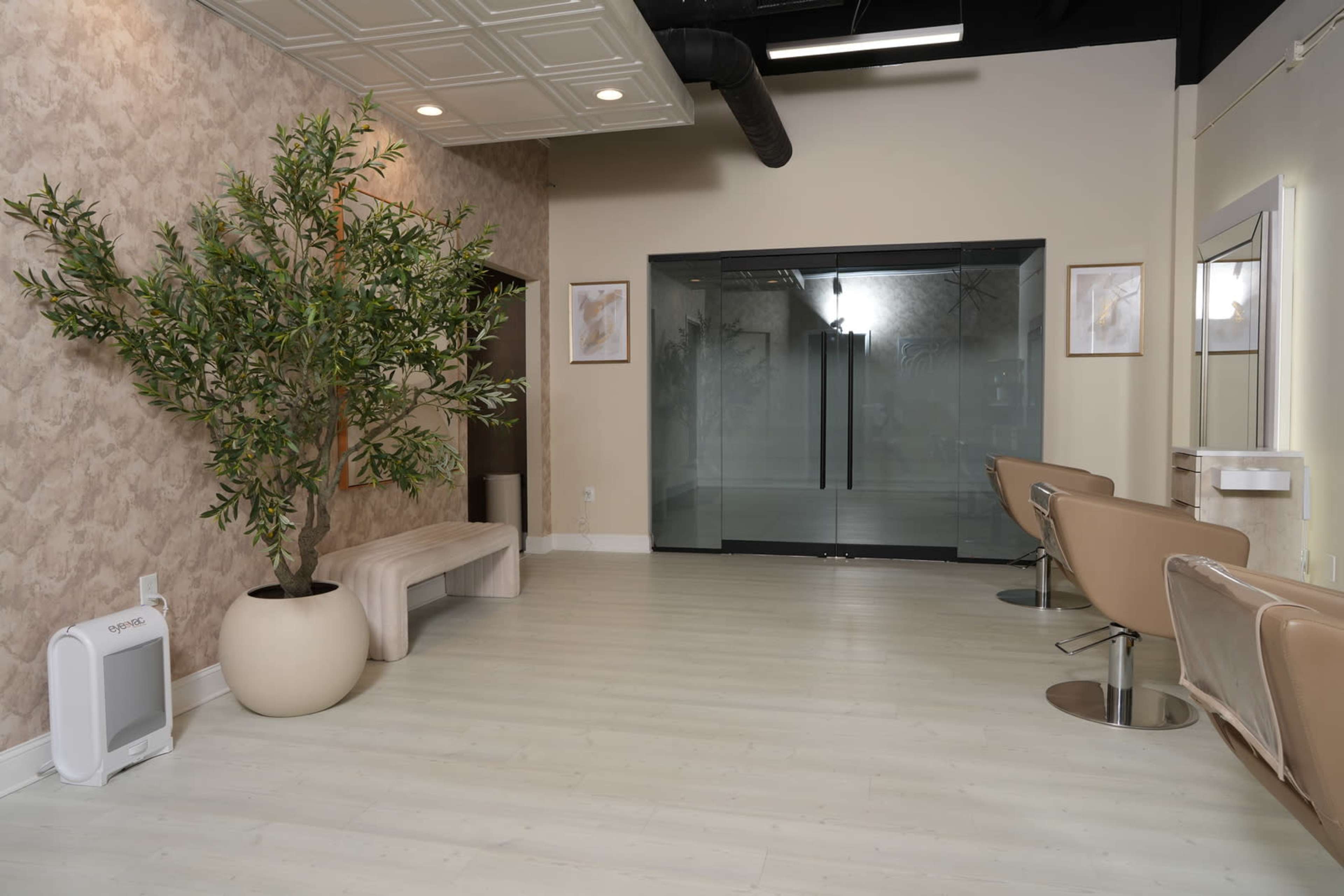 A modern salon interior featuring a large glass door, a leafy plant in a round pot, and several stylist chairs arranged around a light-colored floor.