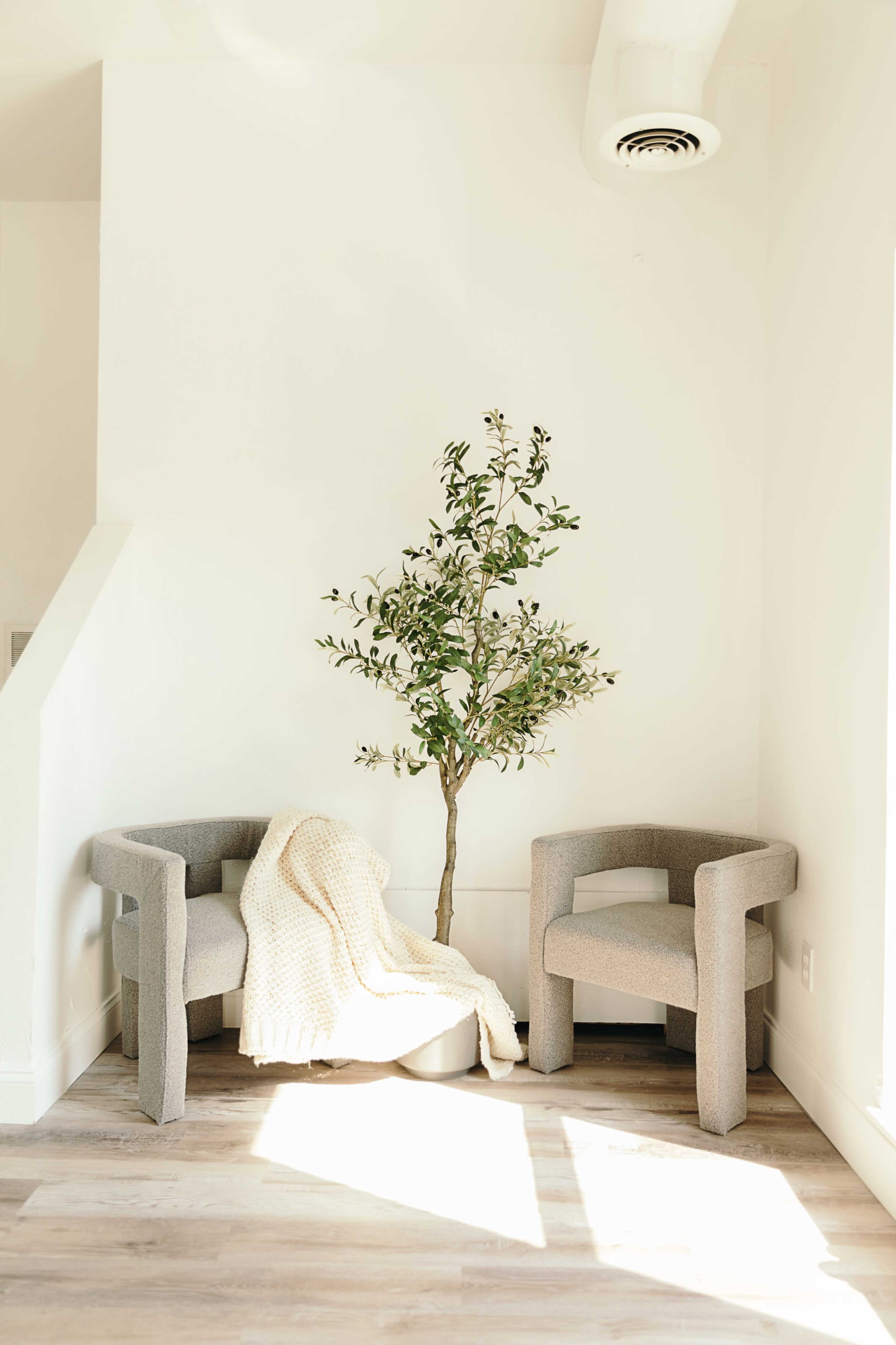 Two gray armchairs are placed in a corner, with a small potted tree and a white blanket draped over one chair.