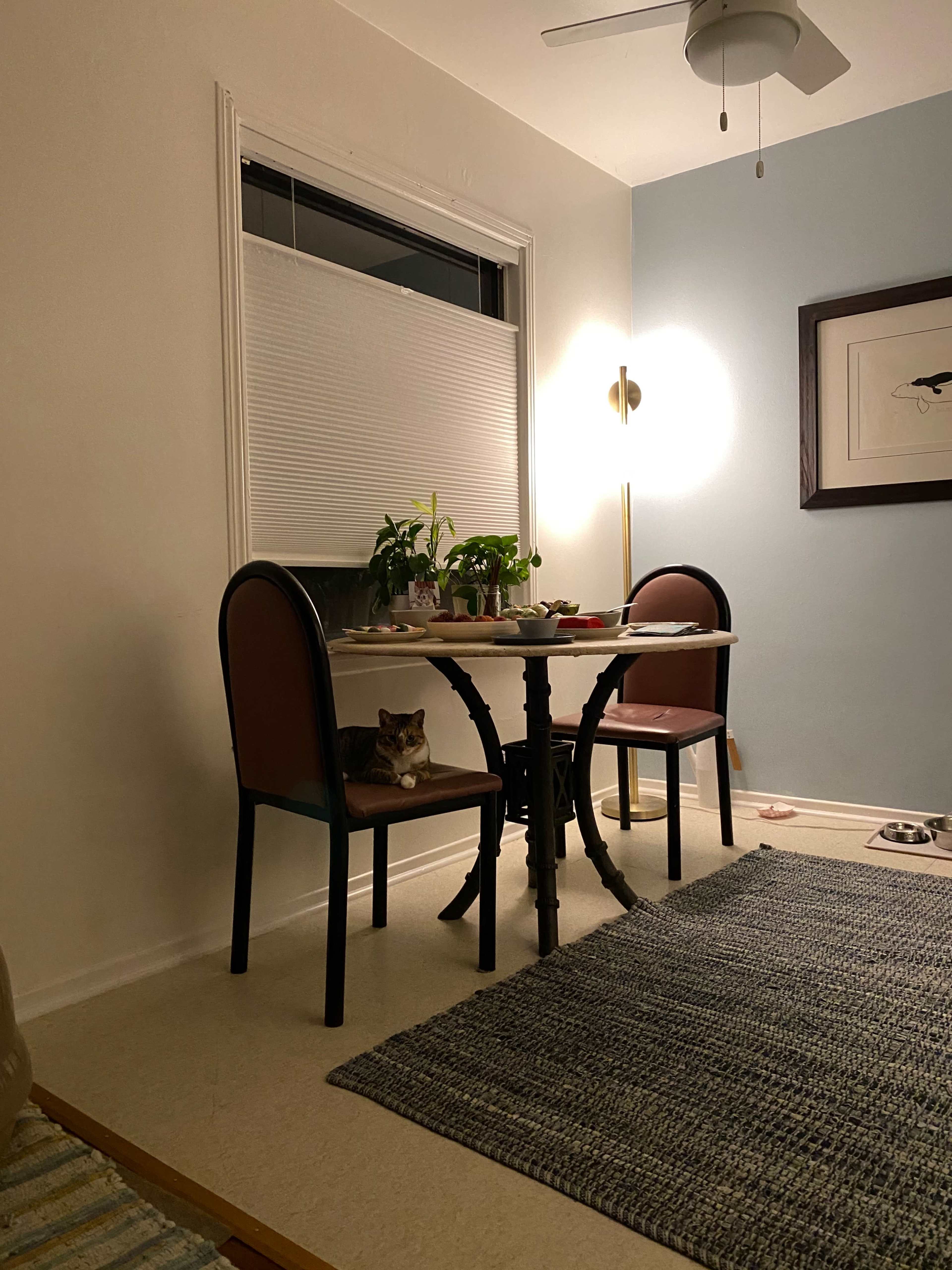 A small dining table with two chairs is positioned in a softly lit room, accompanied by plants, a cat on one of the chairs, and a patterned rug on the floor.