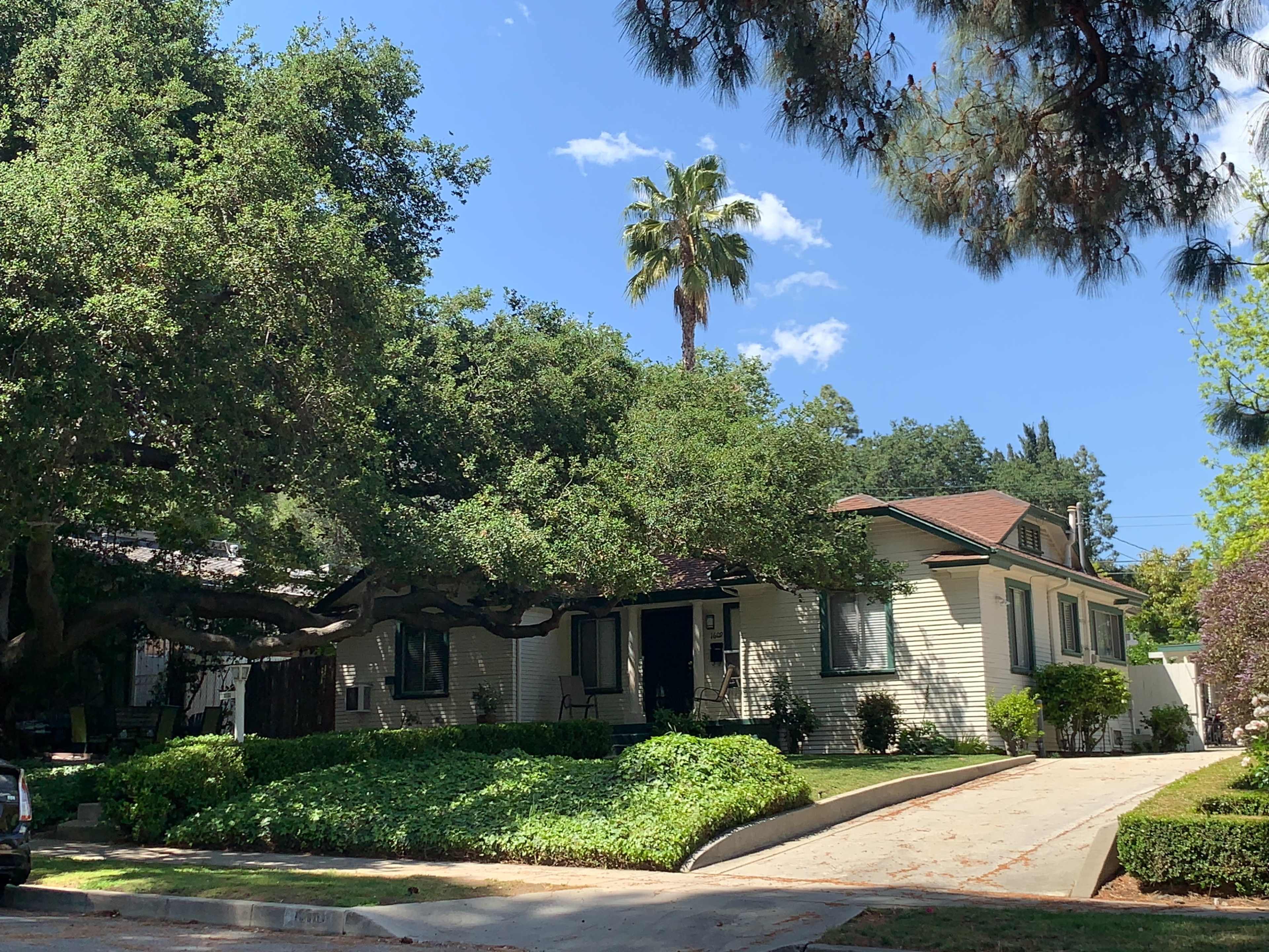 A single-story house with a sloped roof sits amidst lush greenery and a large oak tree on a sunny day.