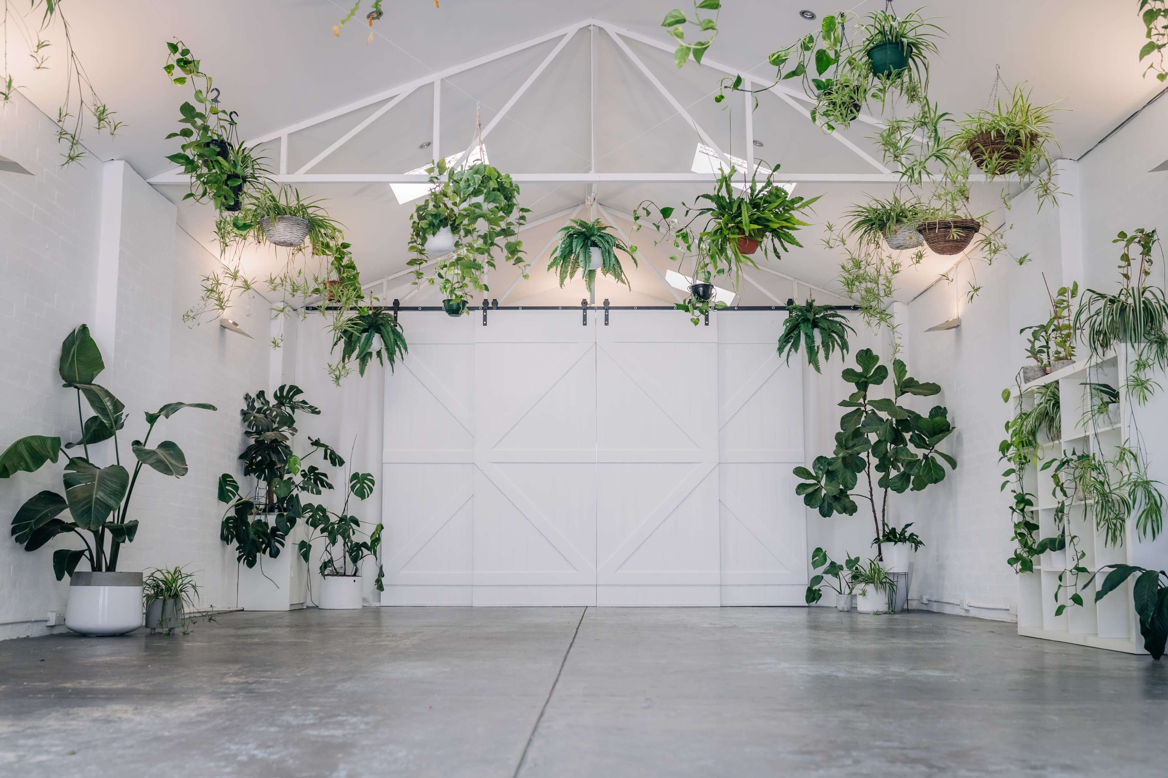 A bright space with a white wall and a large sliding door, decorated with an assortment of potted plants hanging from the ceiling and placed on the floor.