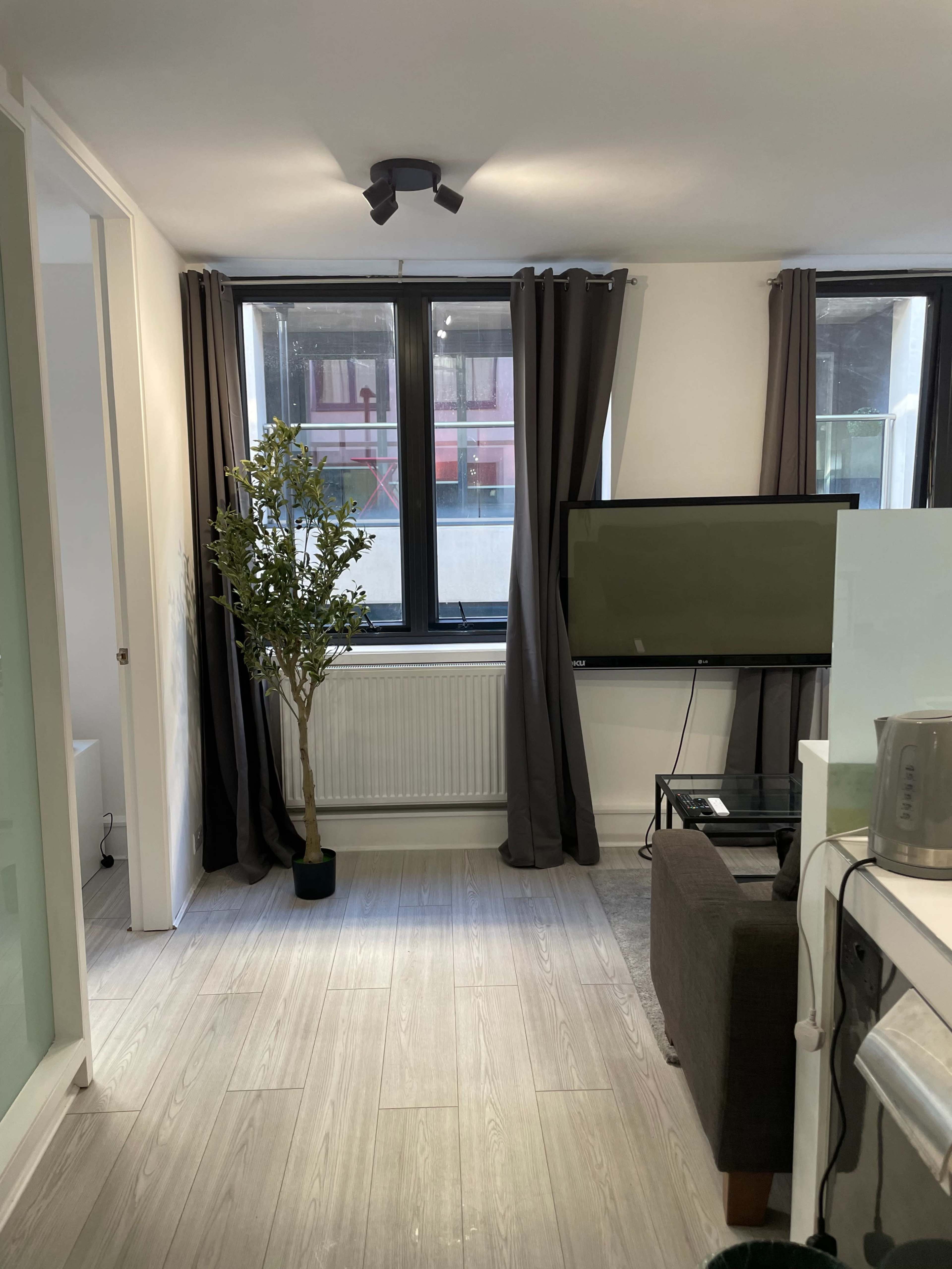 The image shows a modern living space with a television, a small indoor tree, and large windows framed by dark curtains.