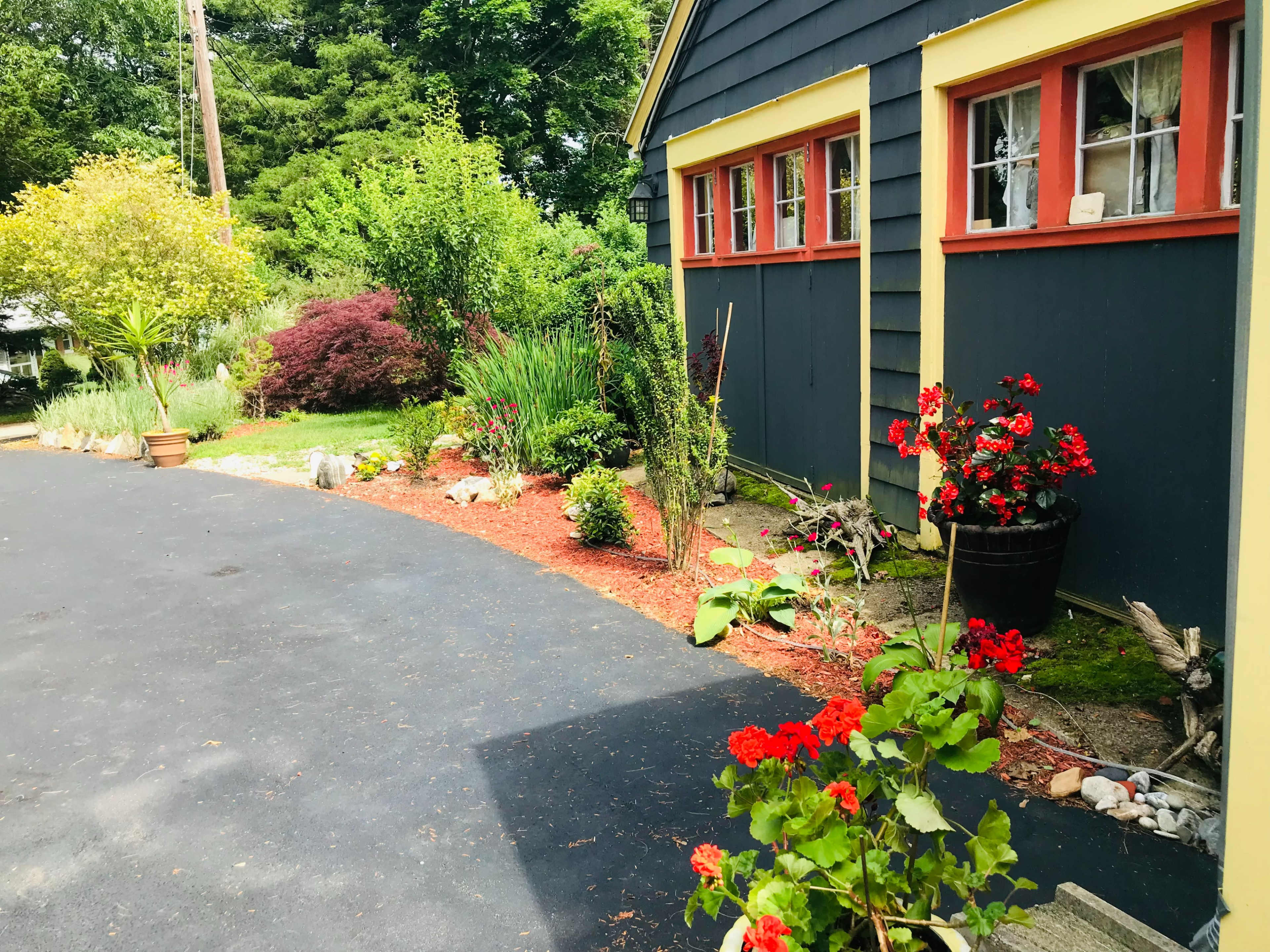 A dark blue house with red window frames is situated beside a landscaped garden featuring various plants and flowers along a blacktop driveway.