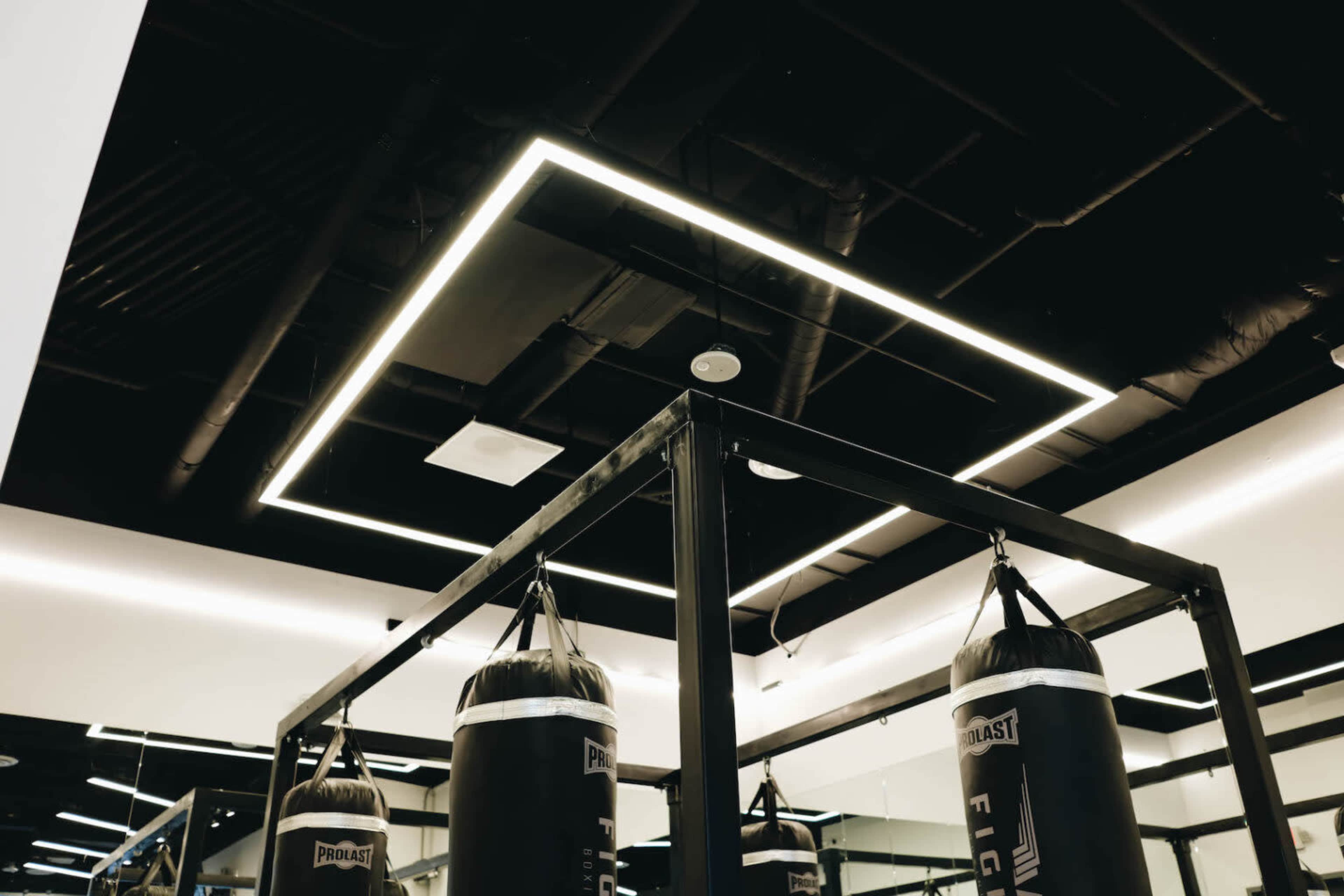 A boxing gym with hanging punching bags and modern lighting fixtures along the ceiling.