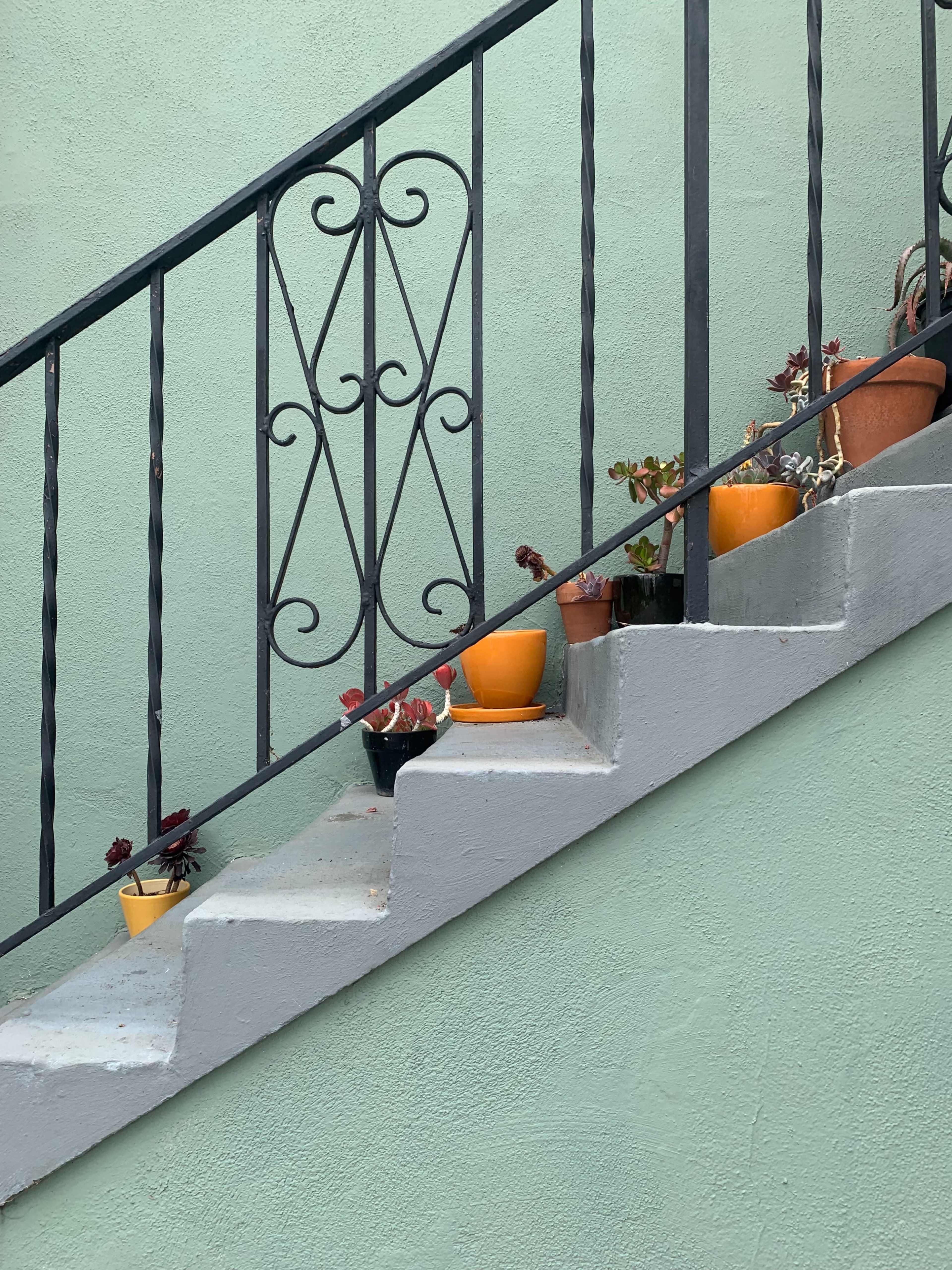 Potted plants line a set of gray stairs against a pastel green wall, with a black wrought iron railing.