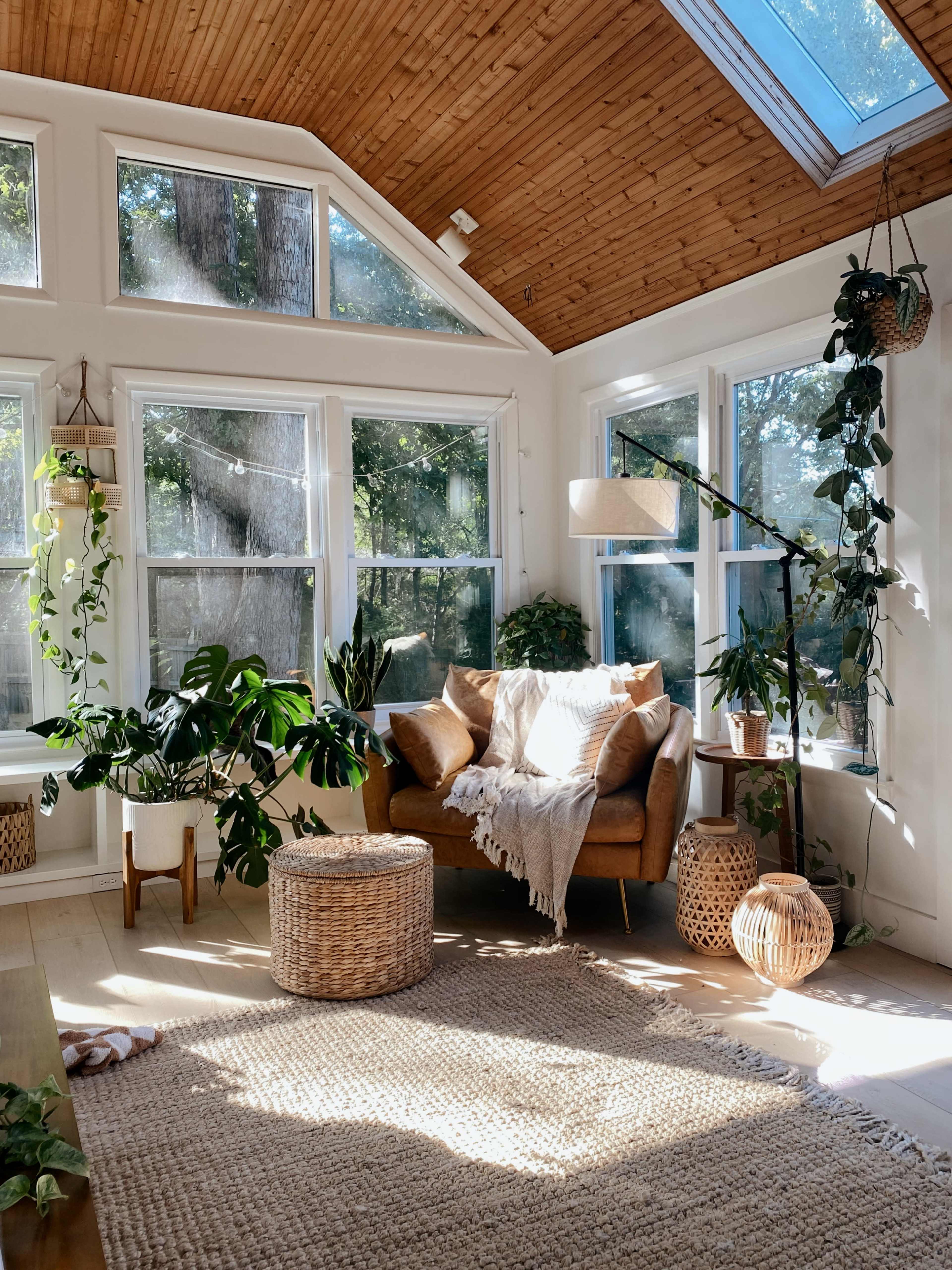 A sunlit corner features a brown chair with a blanket, surrounded by various indoor plants and a woven rug.