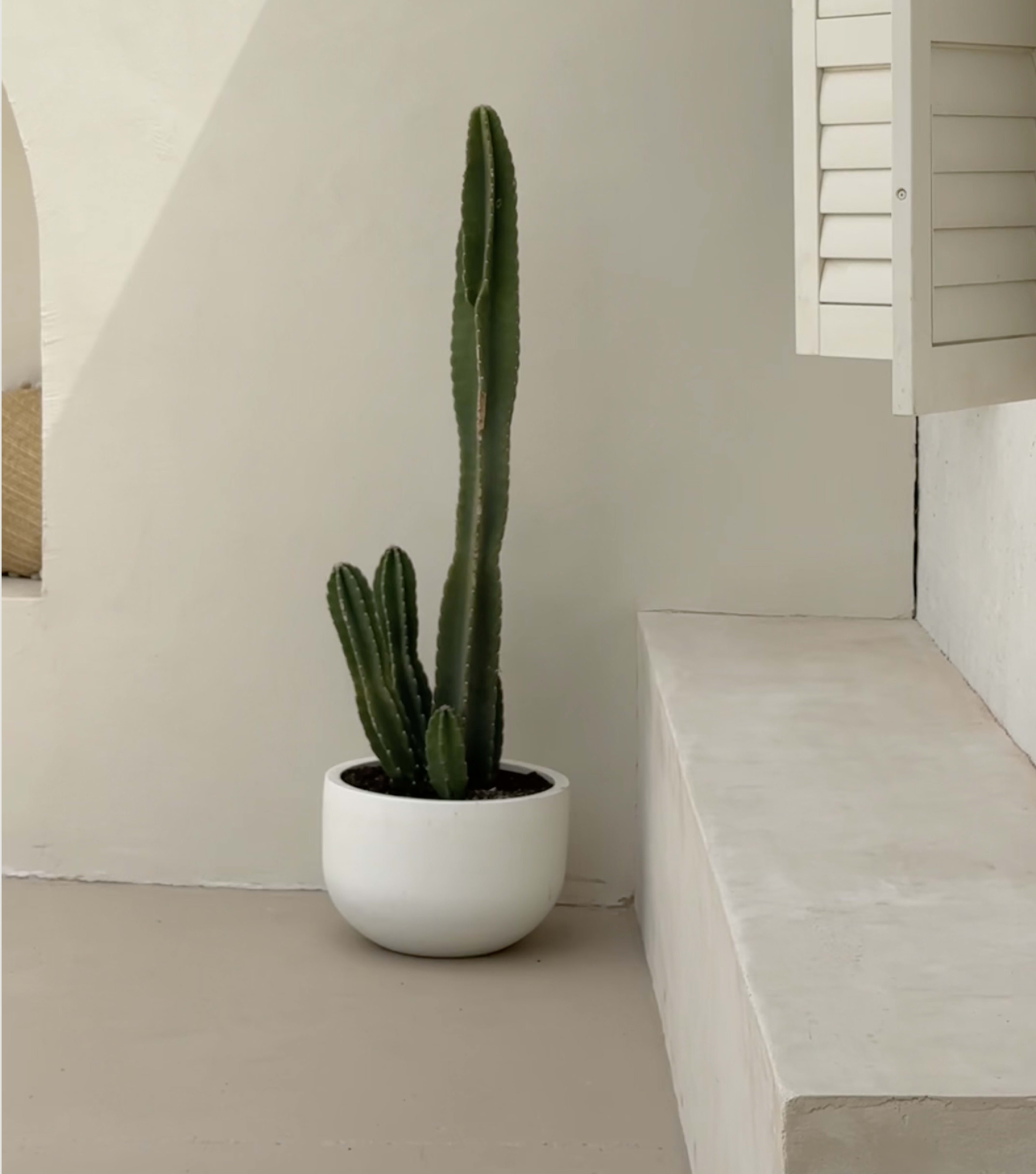 Bali-Inspired Outdoor Courtyard with Rendered Arch and Shower Image in , Airport West, VIC