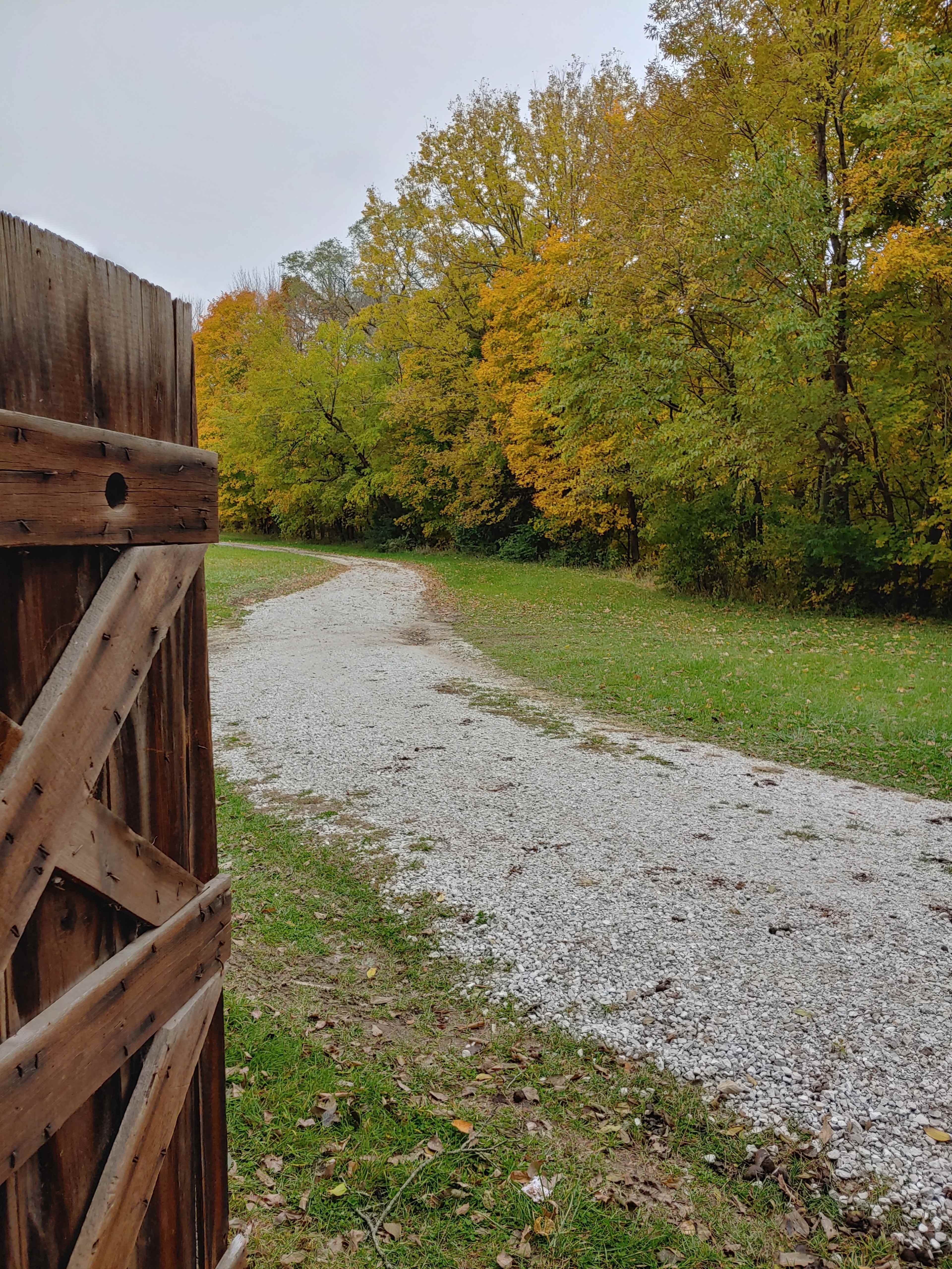 A gravel path winds through a wooded area with trees showing autumn colors.
