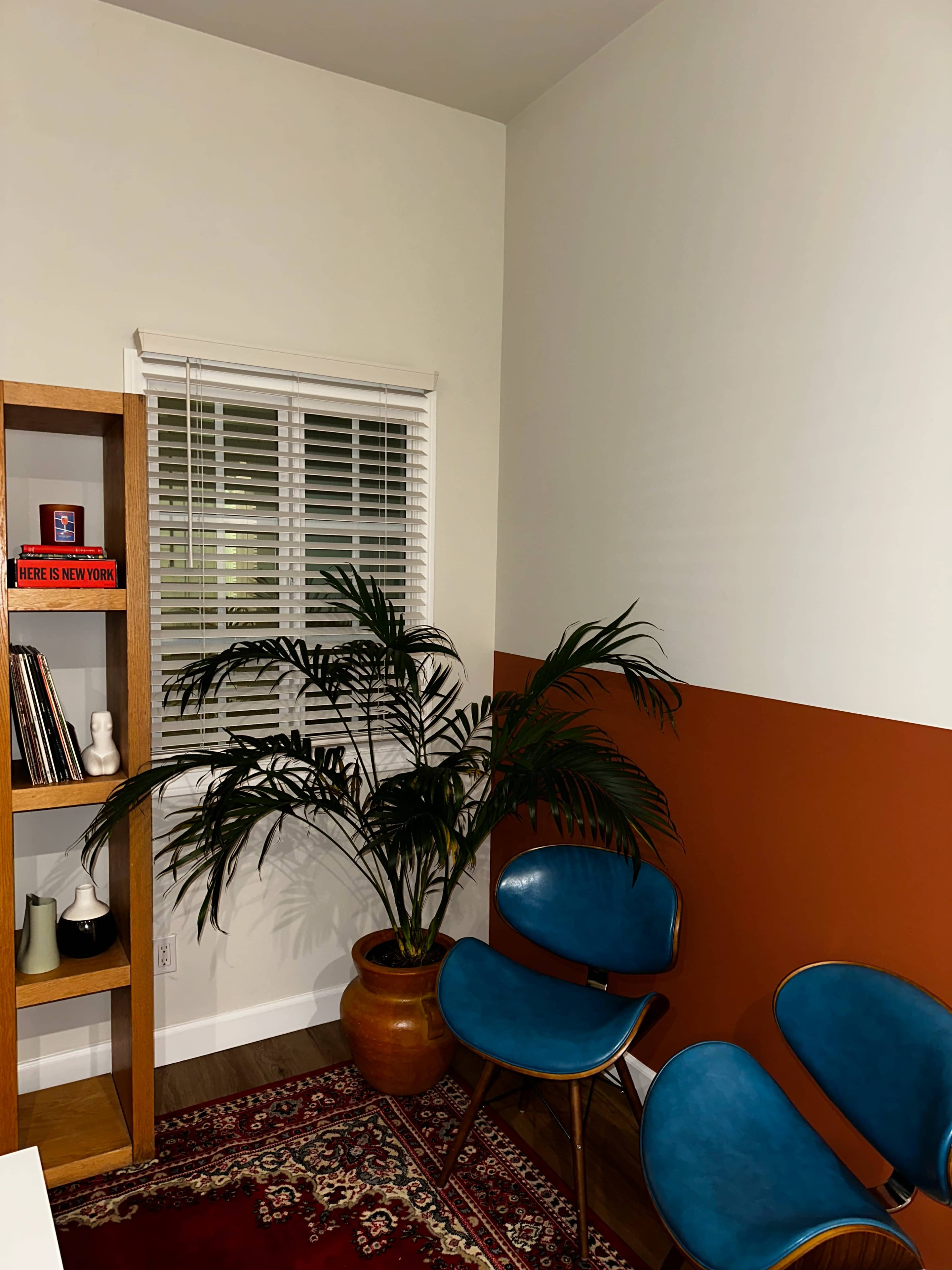 A cozy interior scene features a corner with a shelf, a potted plant, and blue chairs against an orange and white wall.