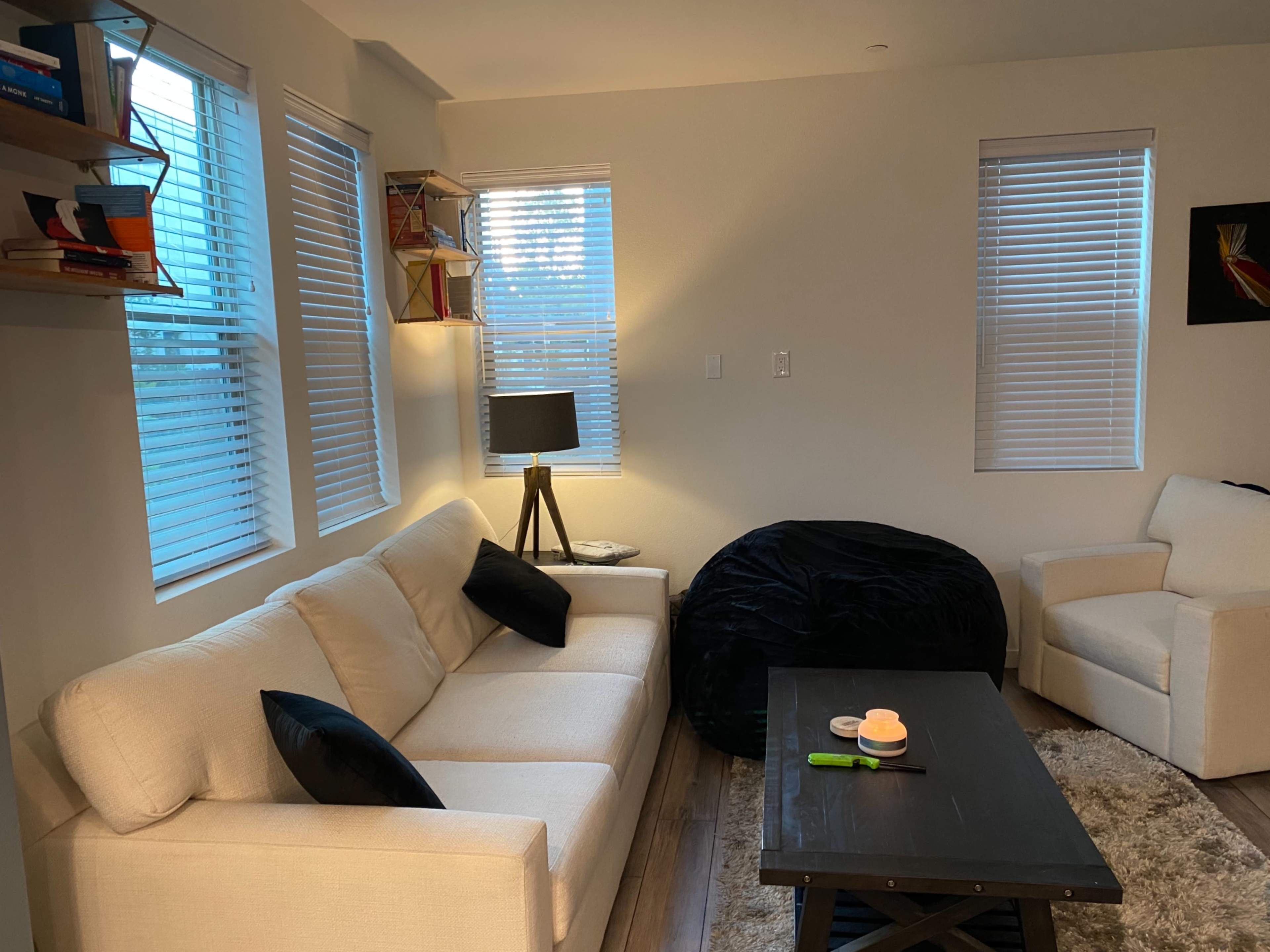 A modern living room with a white sofa, a black bean bag chair, a wooden coffee table, and large windows with blinds.